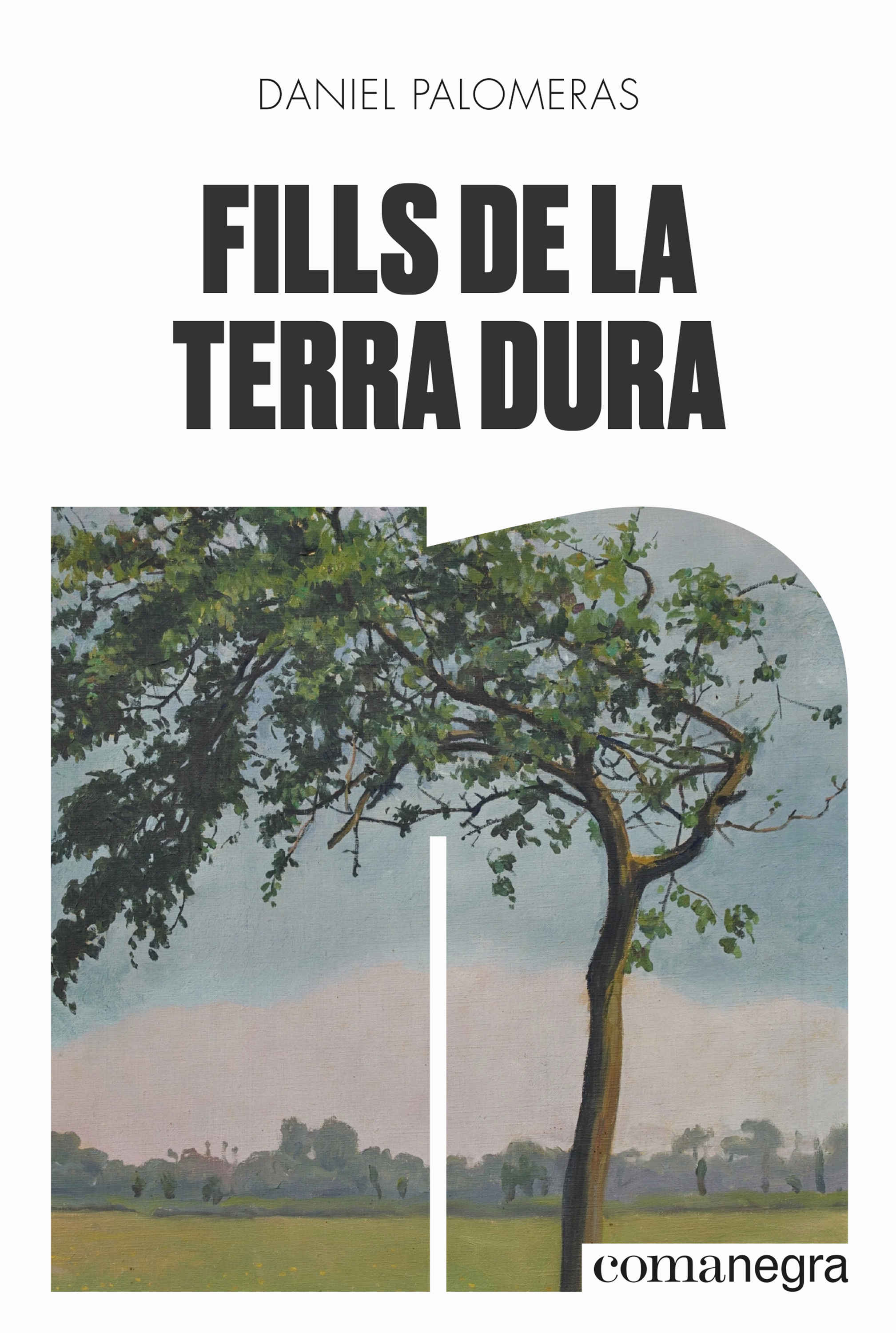 Обложка книги «Fills de la terra dura»