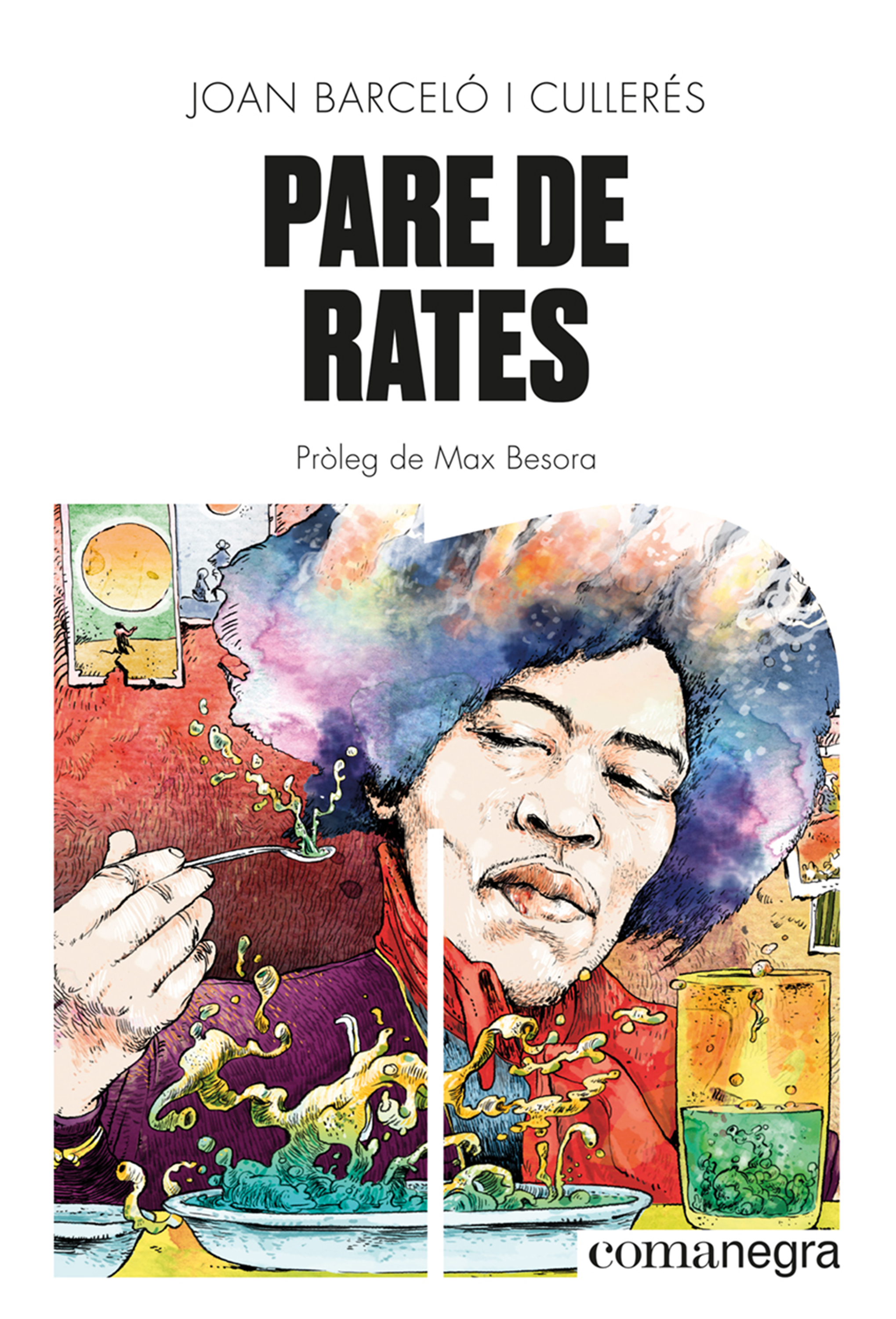 Обложка книги «Pare de rates»