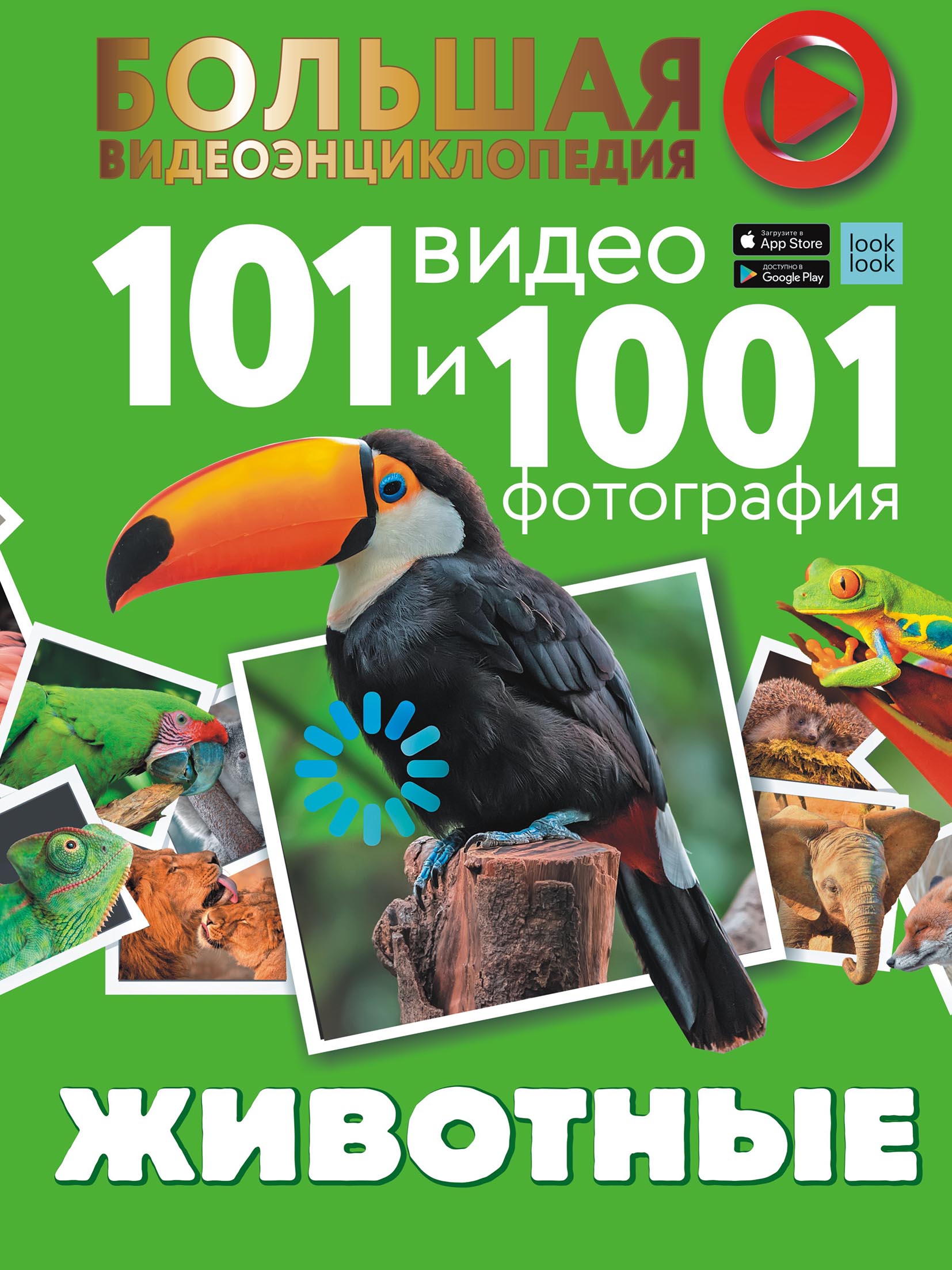 Обложка книги «Животные. 101 видео и 1001 фотография»