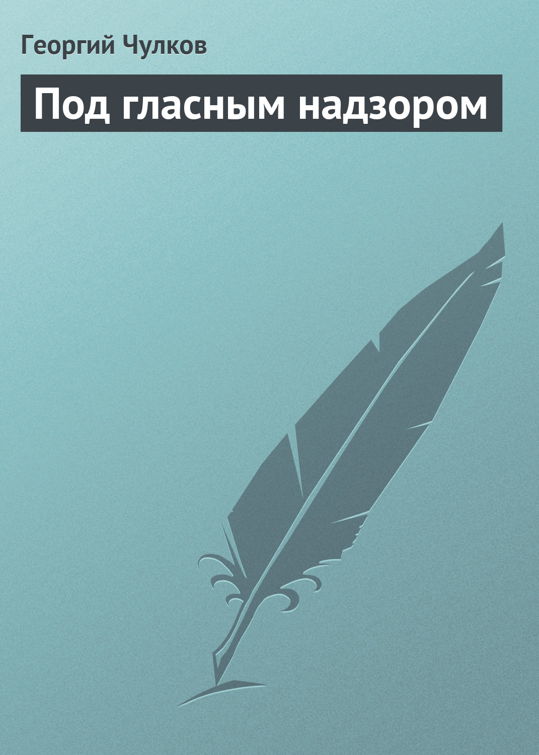 Обложка книги «Под гласным надзором»