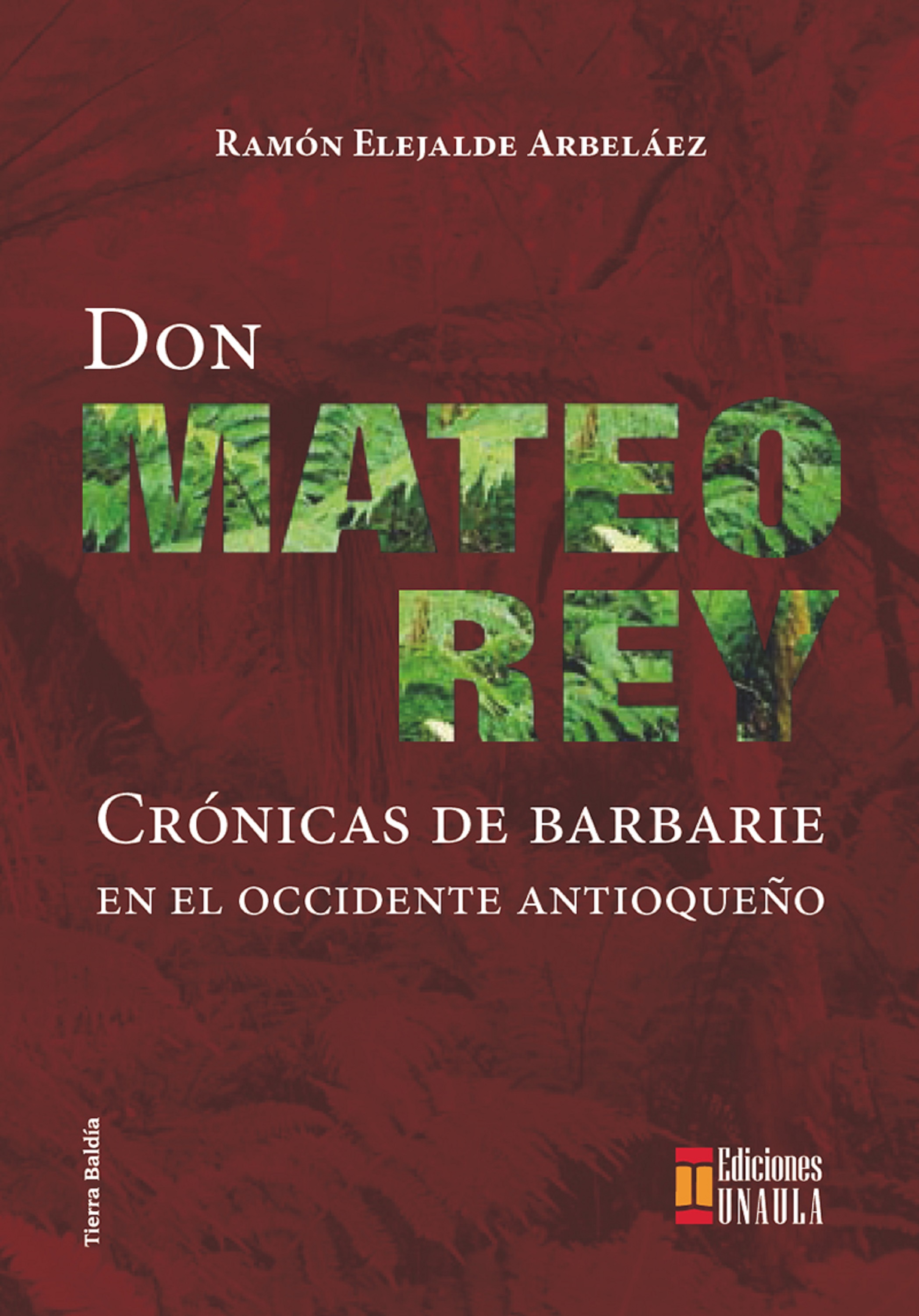 Обложка книги «Don Mateo Rey»