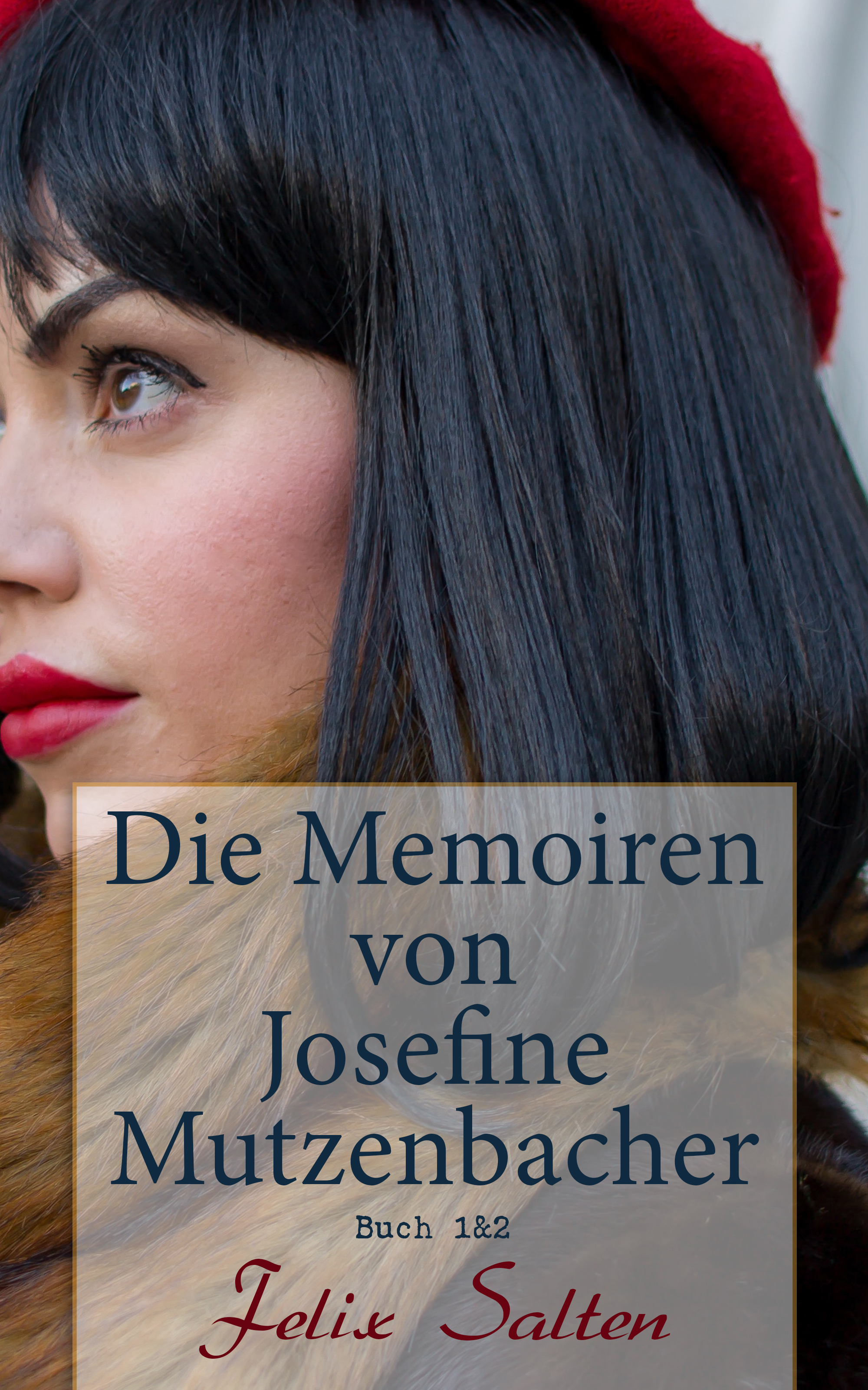Обложка книги «Die Memoiren von Josefine Mutzenbacher (Buch 1&2)»