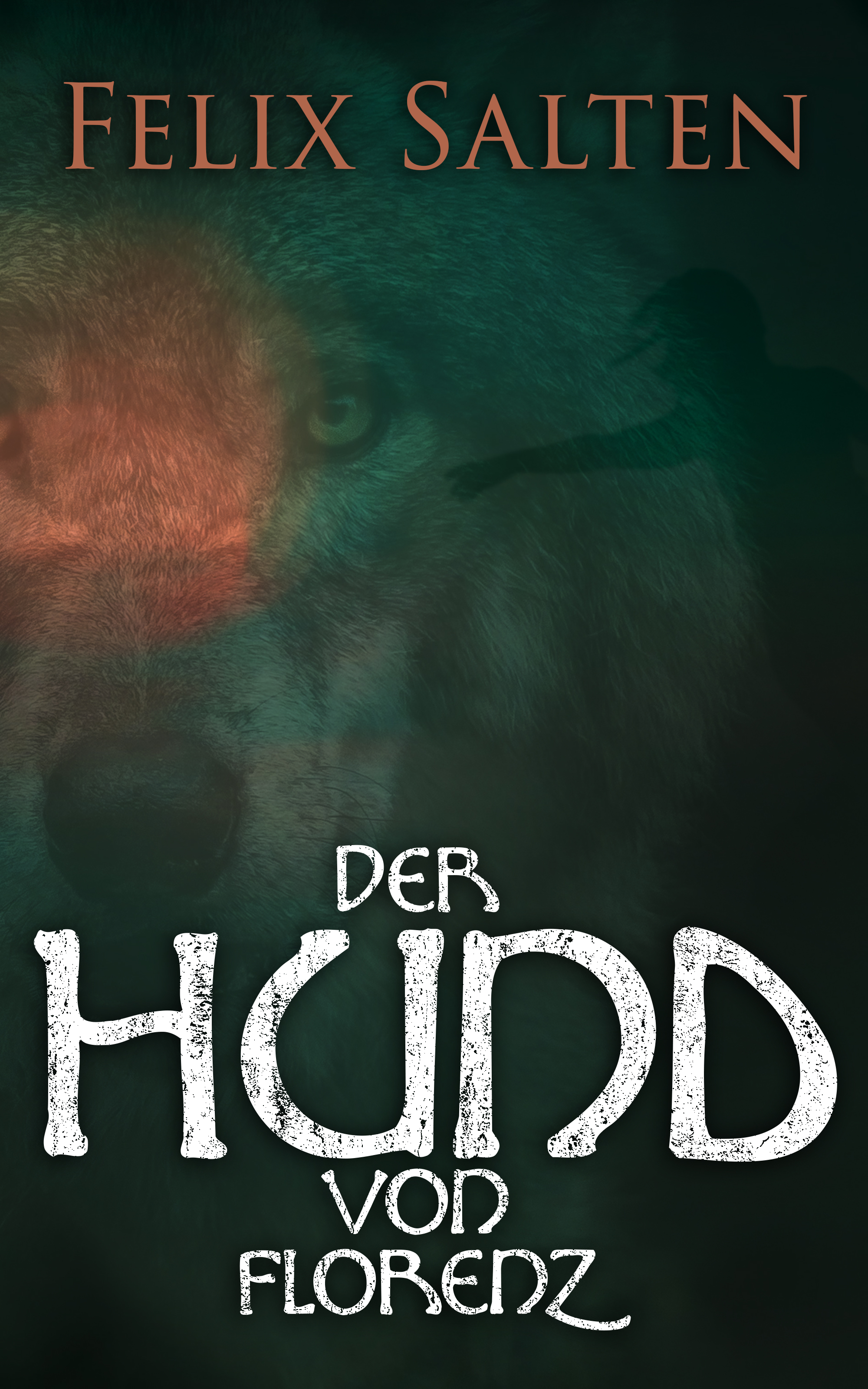 Обложка книги «Der Hund von Florenz»
