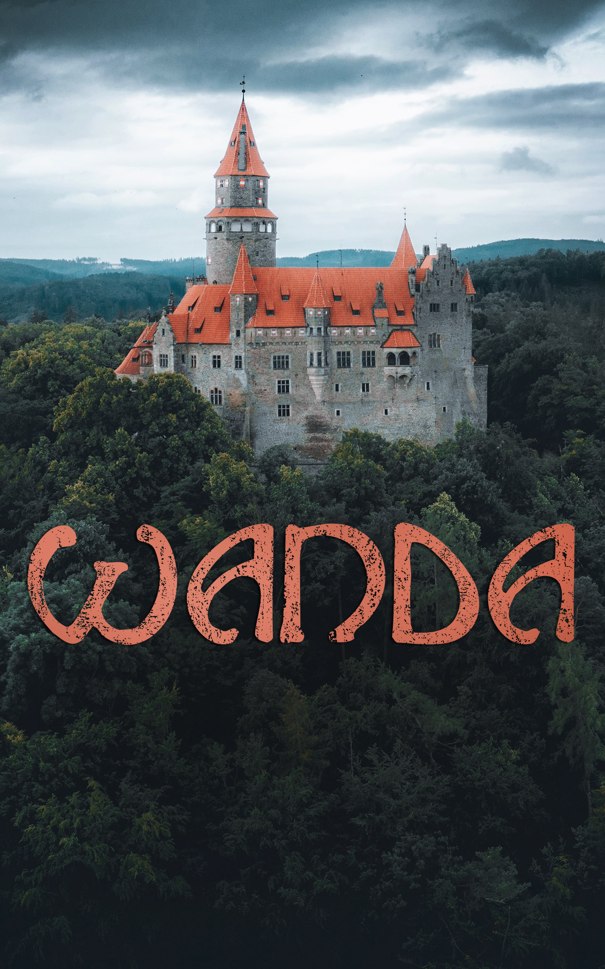 Обложка книги «Wanda»