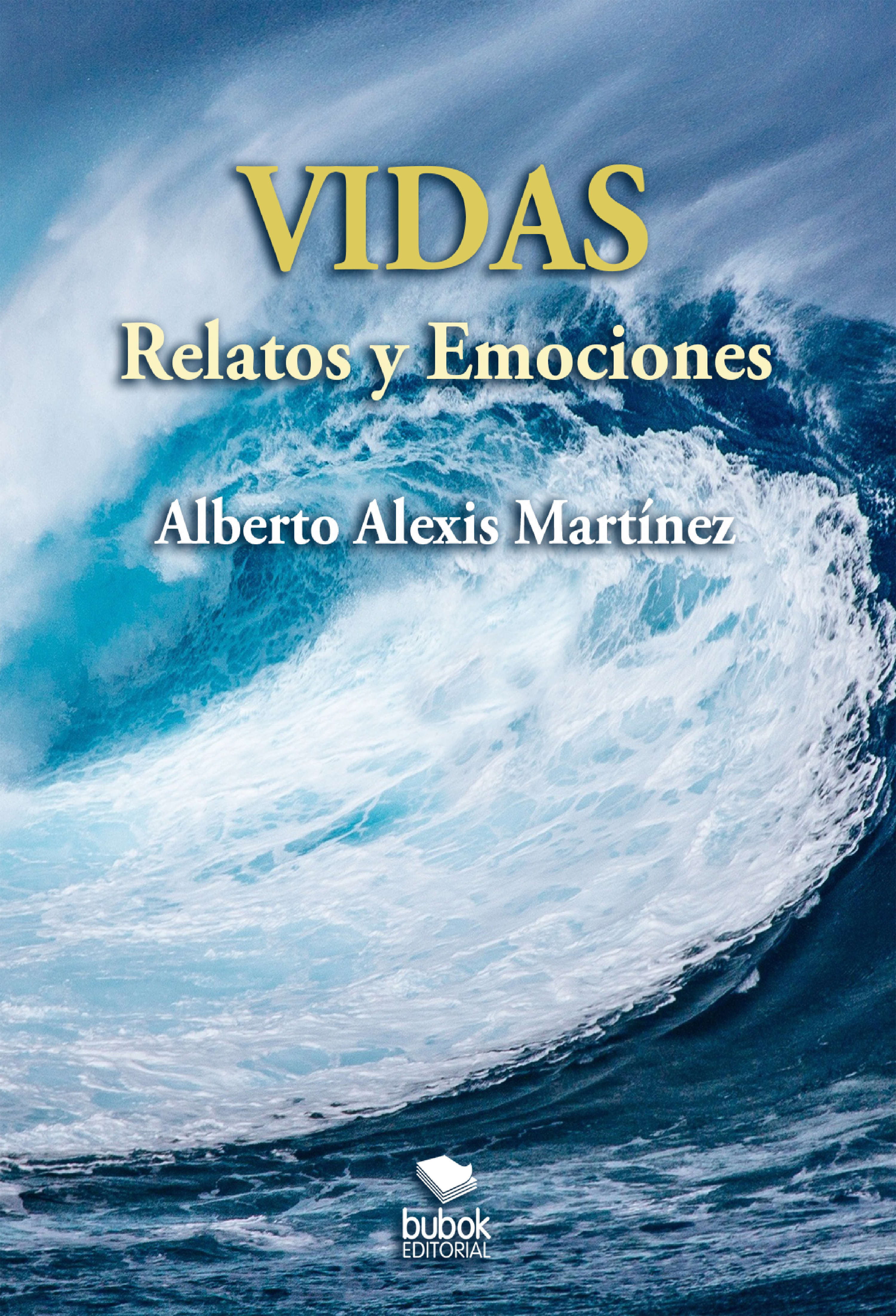 Обложка книги «Vidas - Relatos y emociones»
