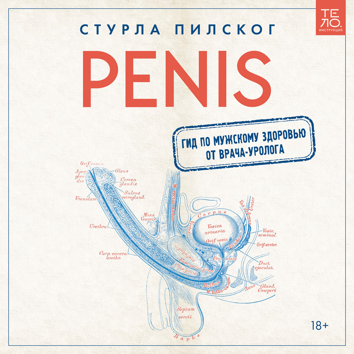 Обложка книги «Penis. Гид по мужскому здоровью от врача-уролога»