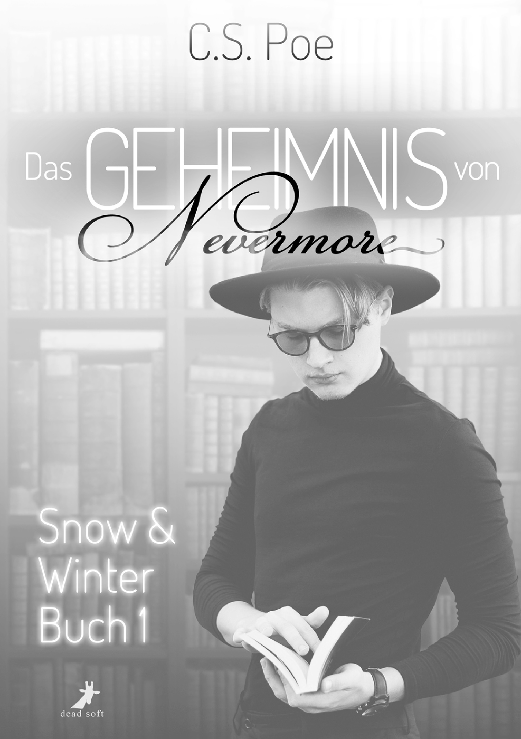 Обложка книги «Das Geheimnis von Nevermore»