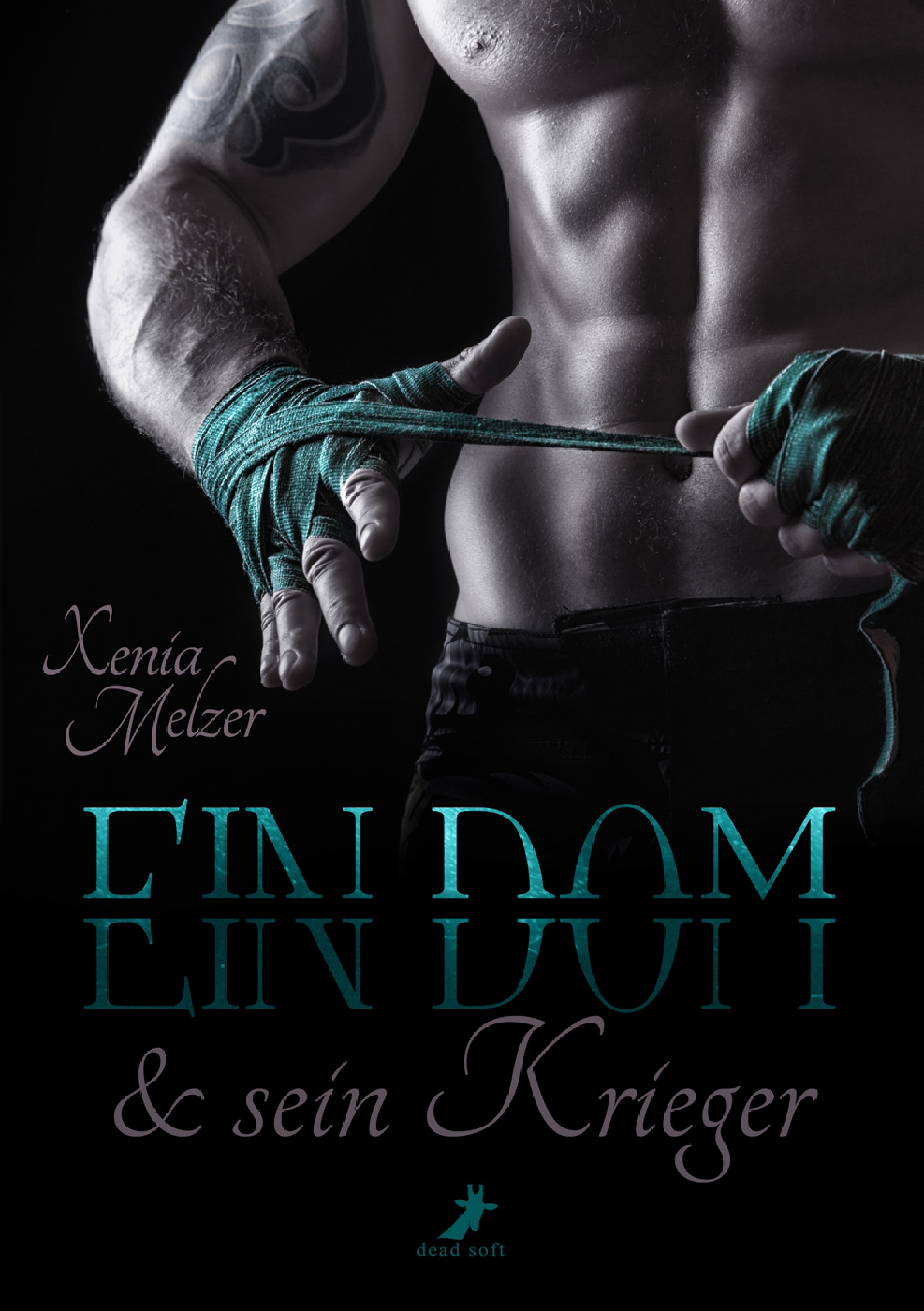 Обложка книги «Ein Dom und sein Krieger»