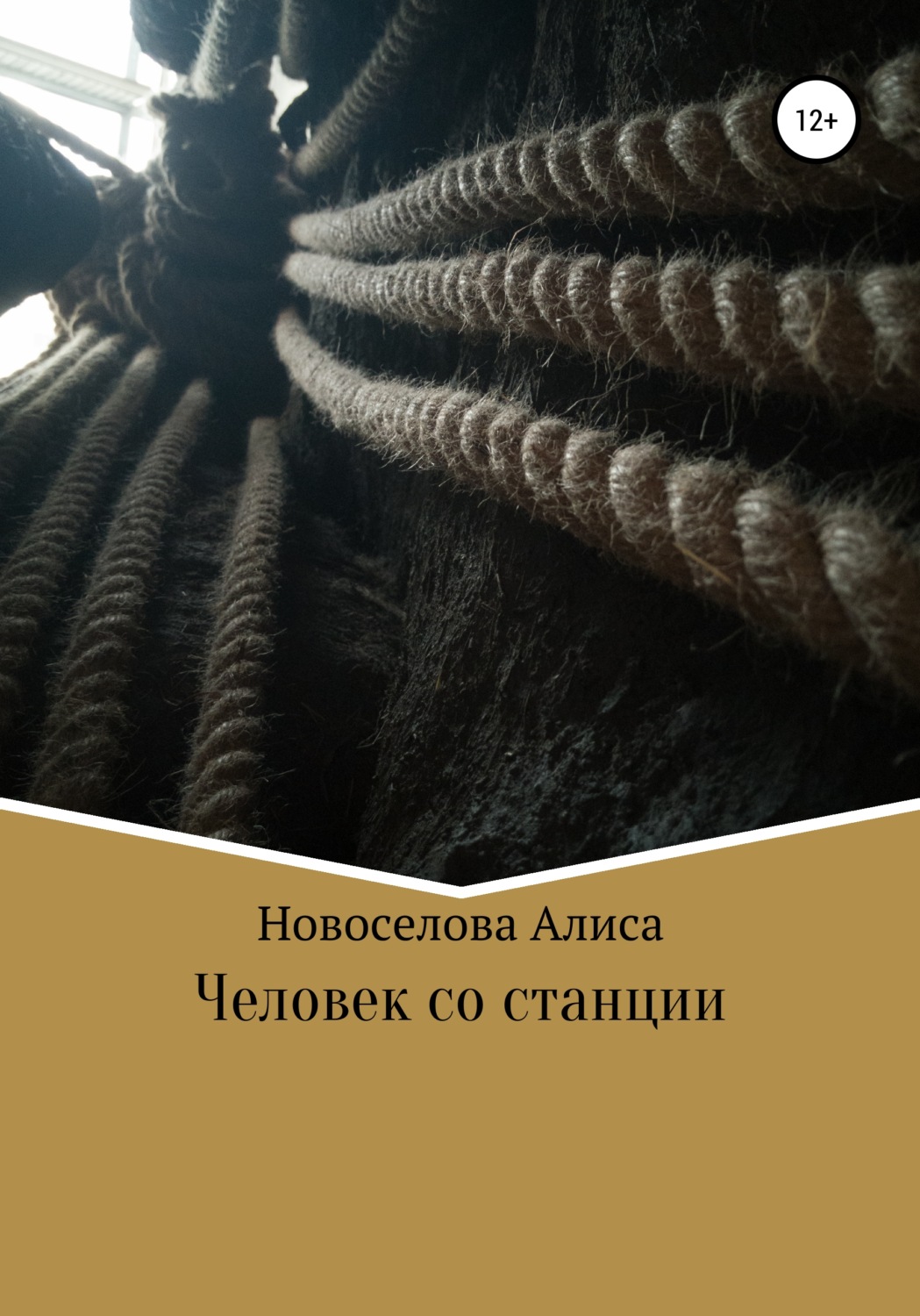 Обложка книги «Человек со станции»