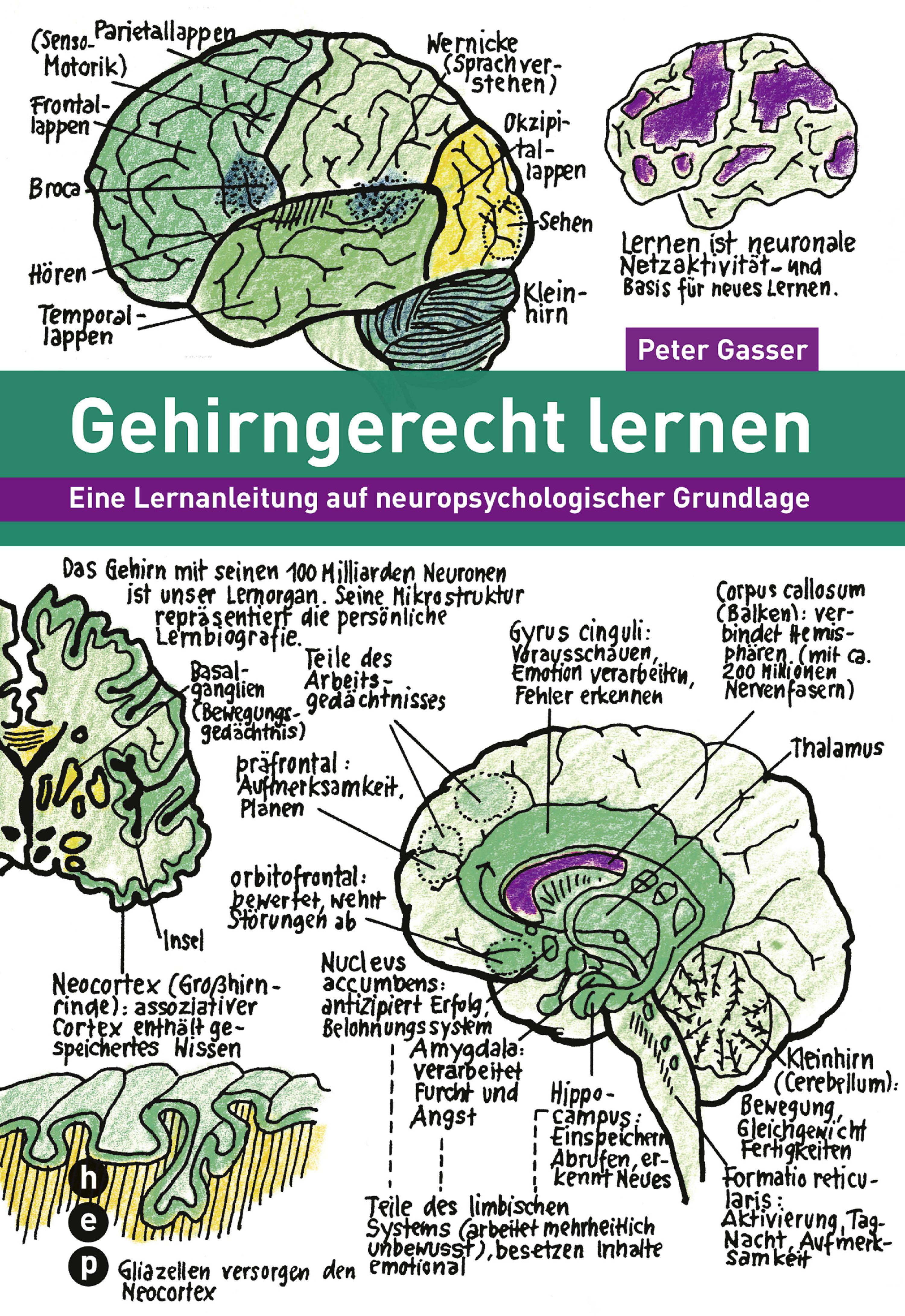 Обложка книги «Gehirngerecht lernen (E-Book)»