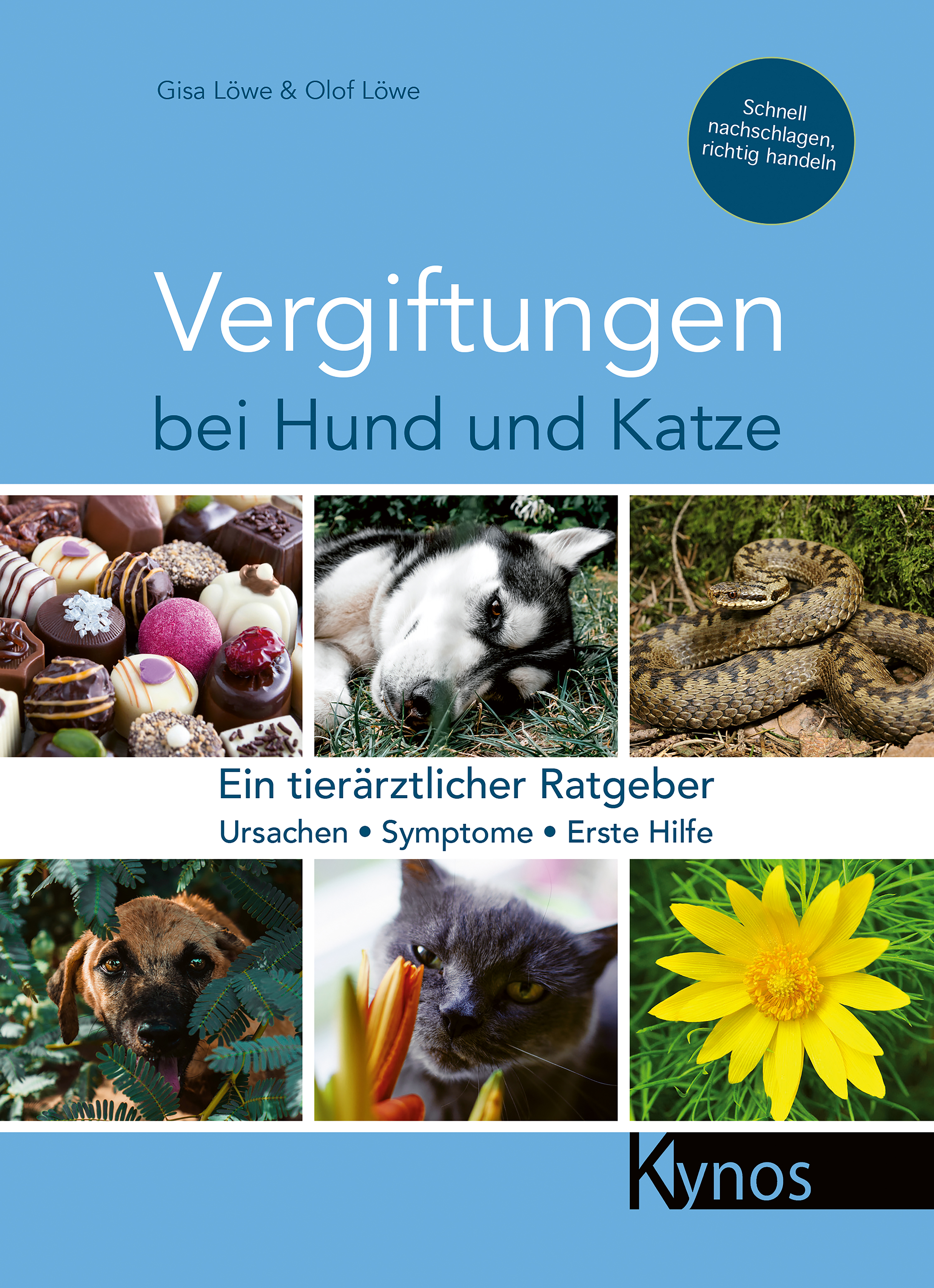 Обложка книги «Vergiftungen bei Hund und Katze»