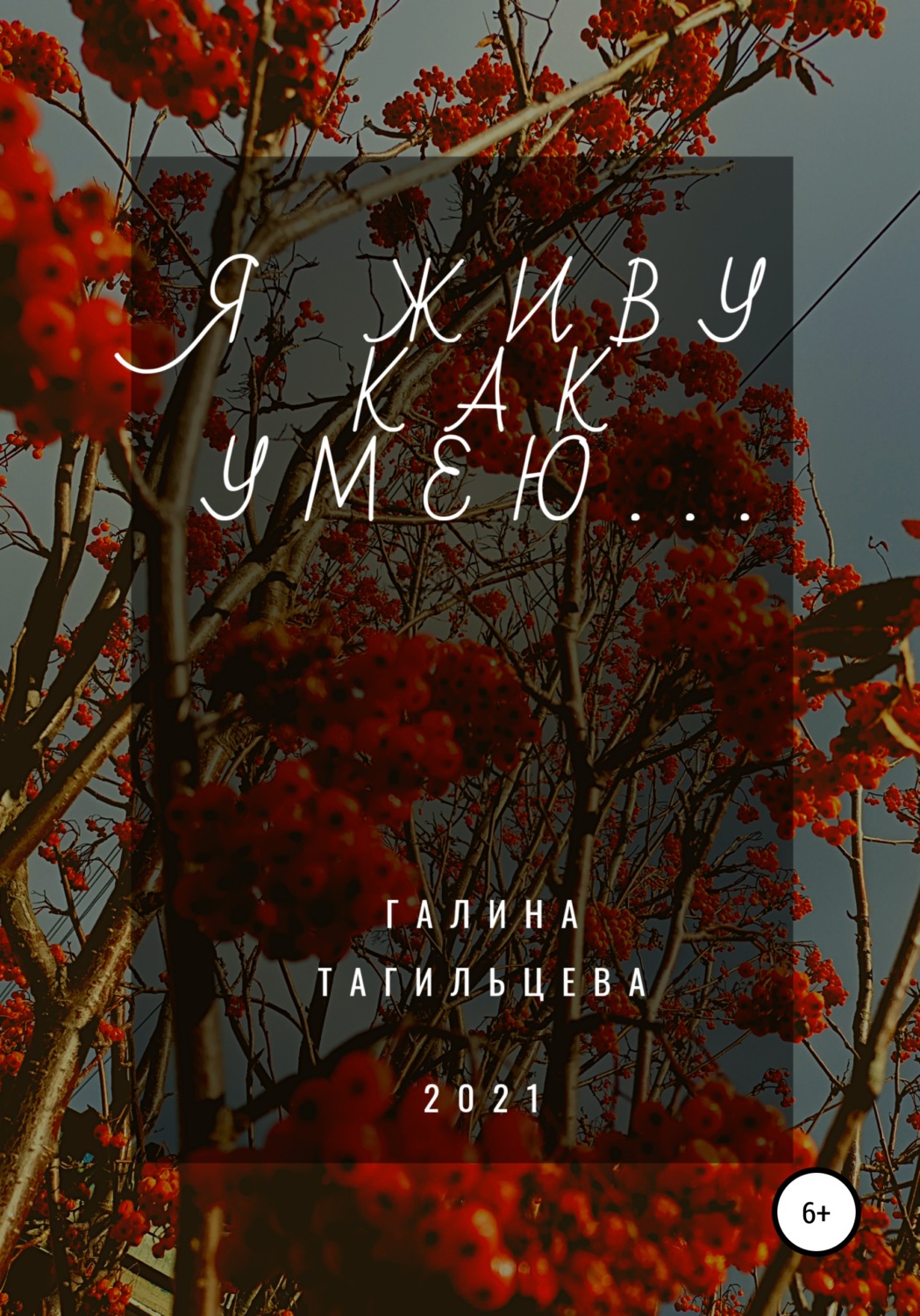 Обложка книги «Я живу как умею…»
