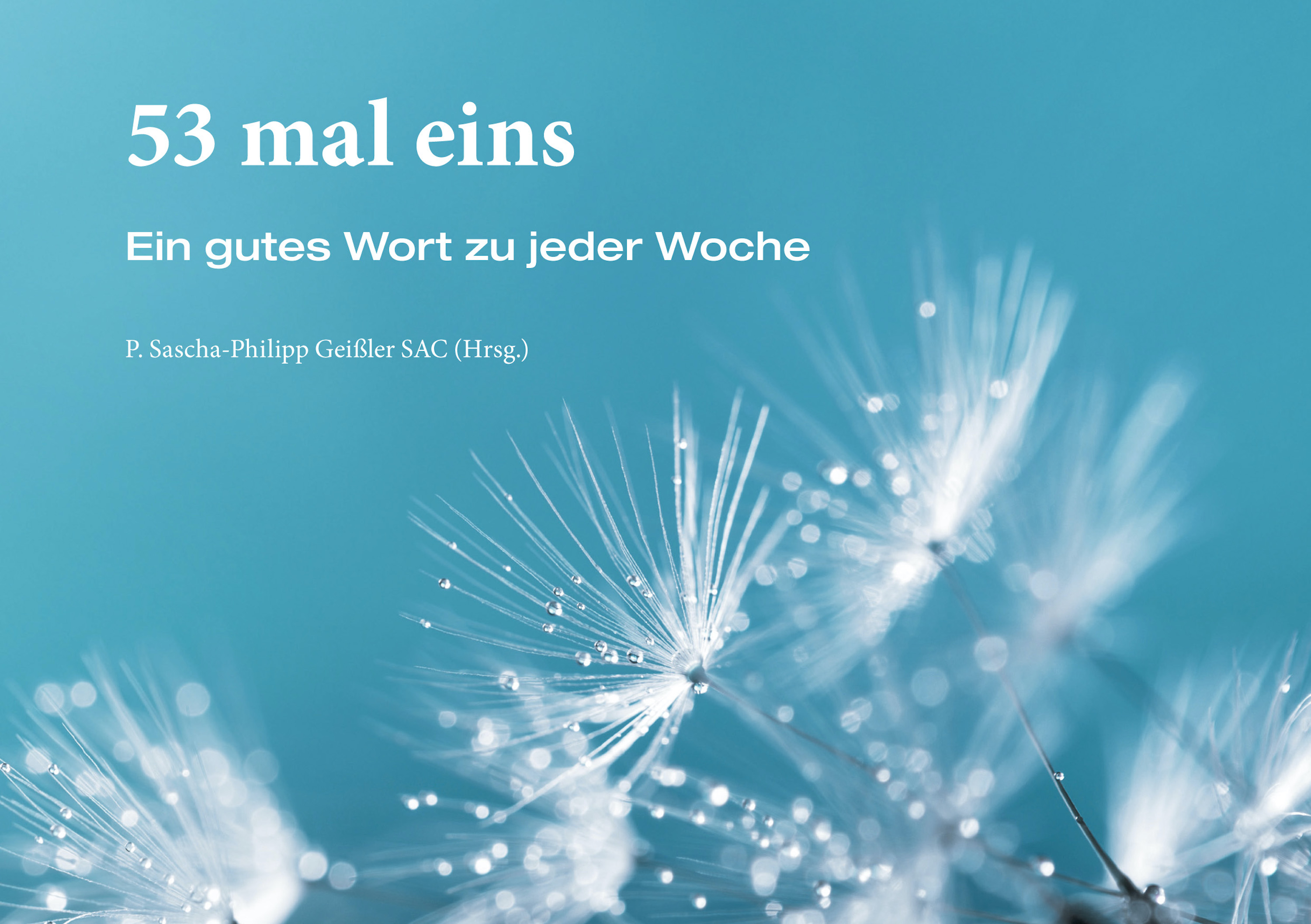 Обложка книги «53 mal eins»