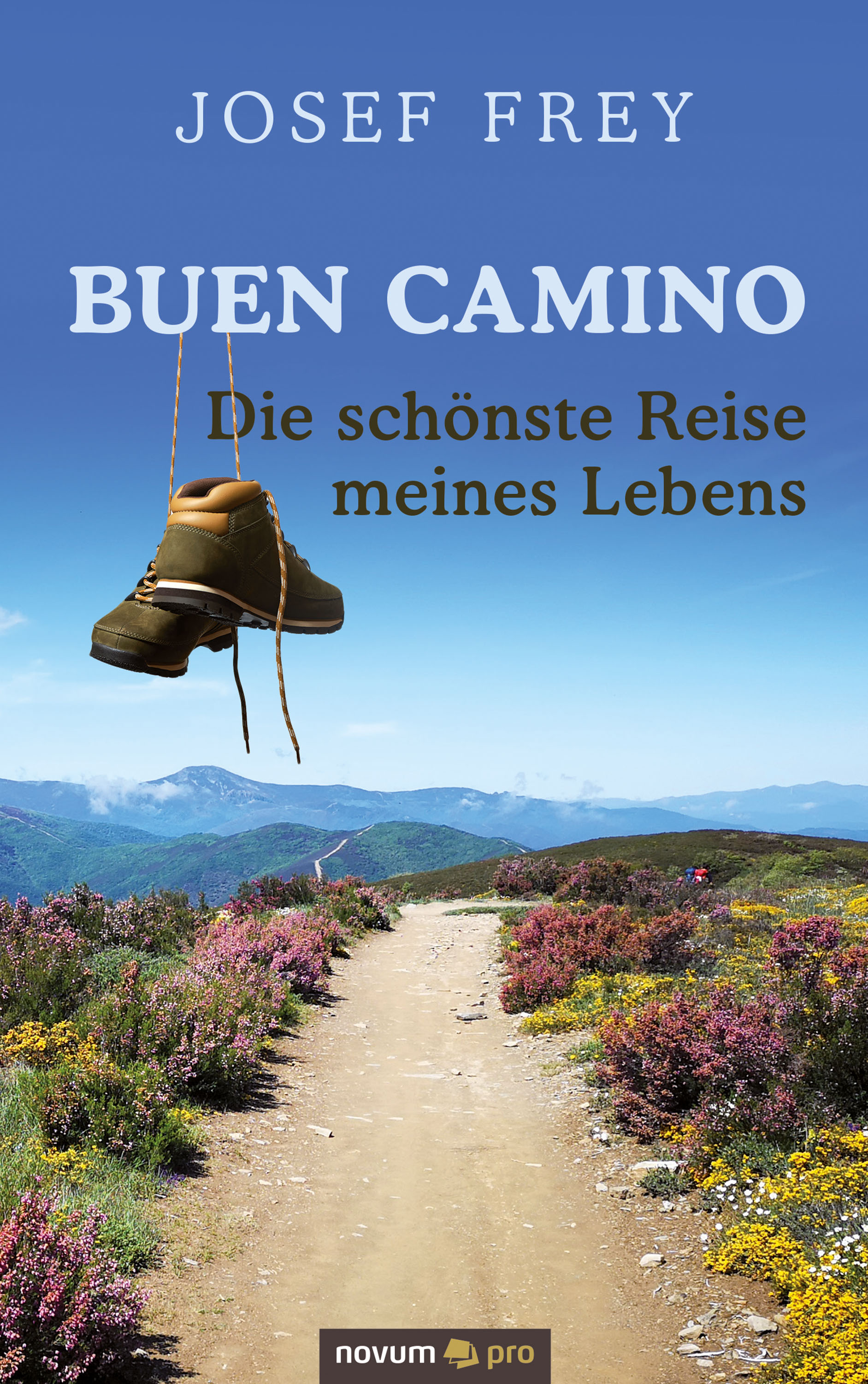 Обложка книги «Buen Camino - die schönste Reise meines Lebens»