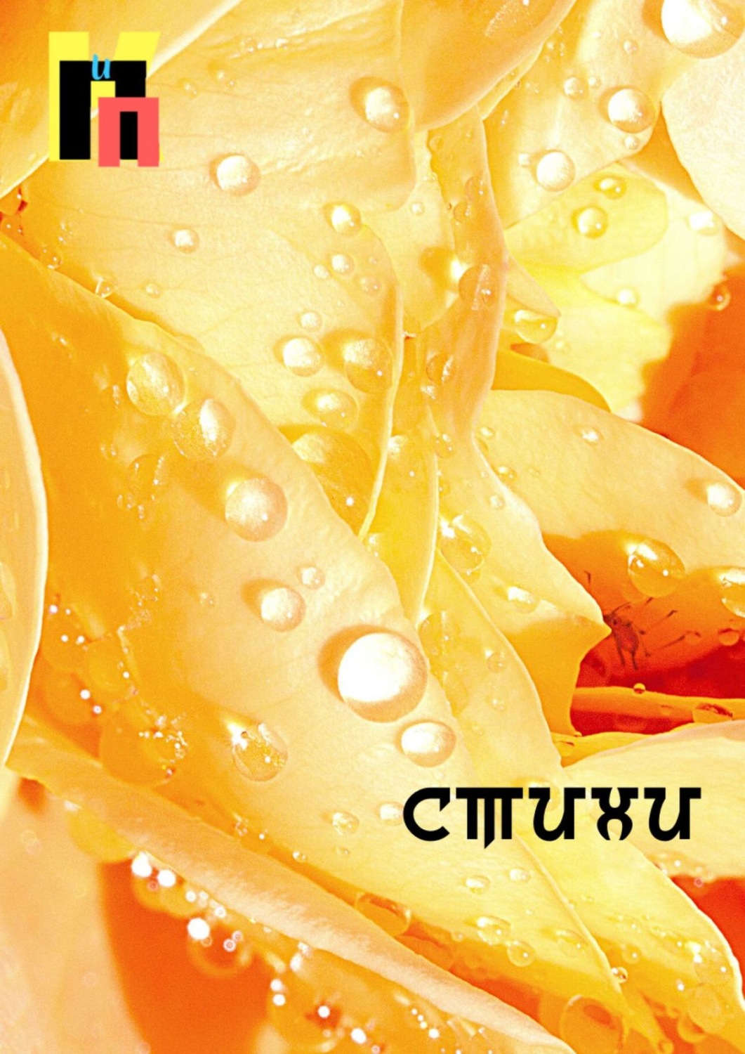 Обложка книги «Стихи»