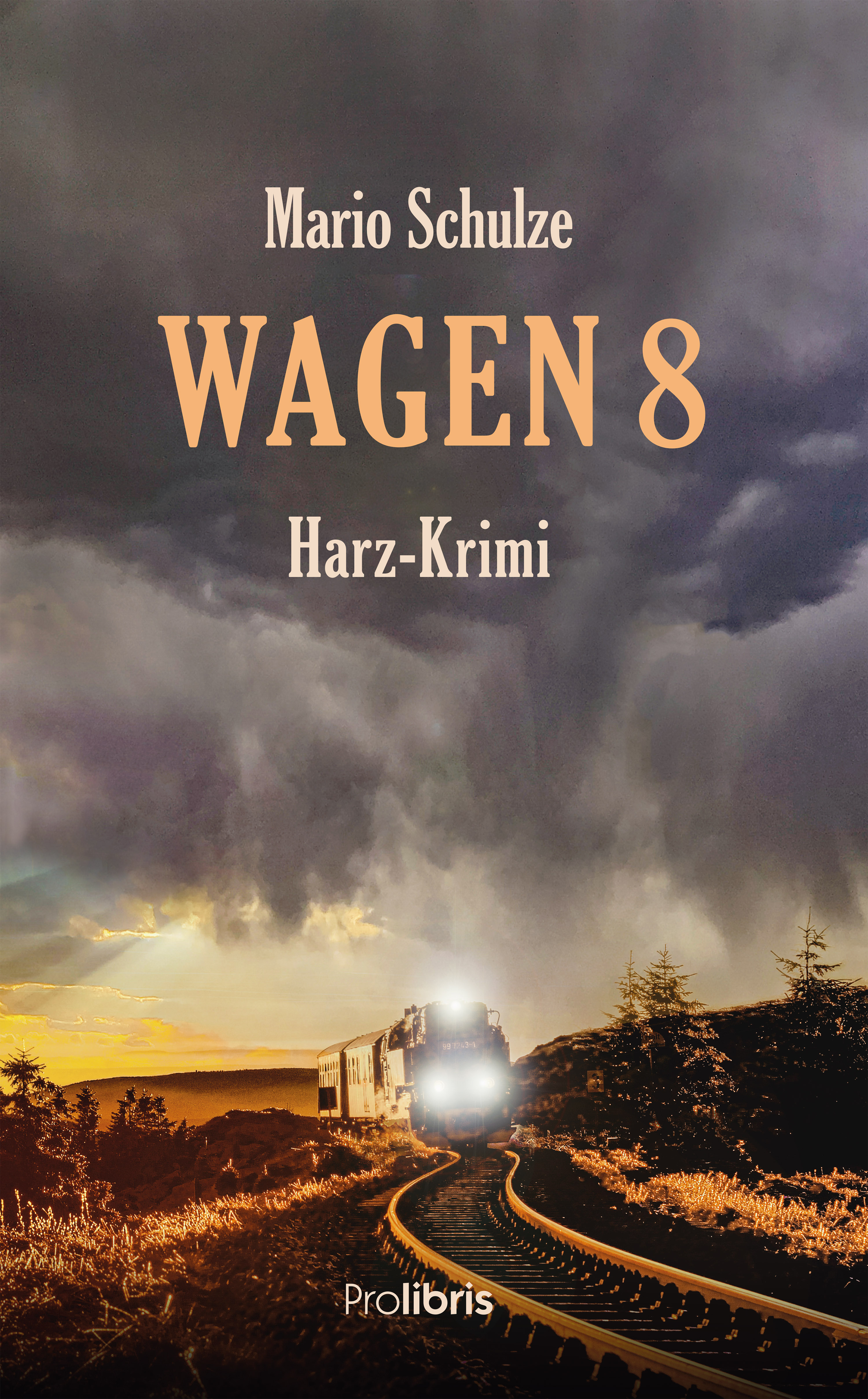 Обложка книги «Wagen 8»
