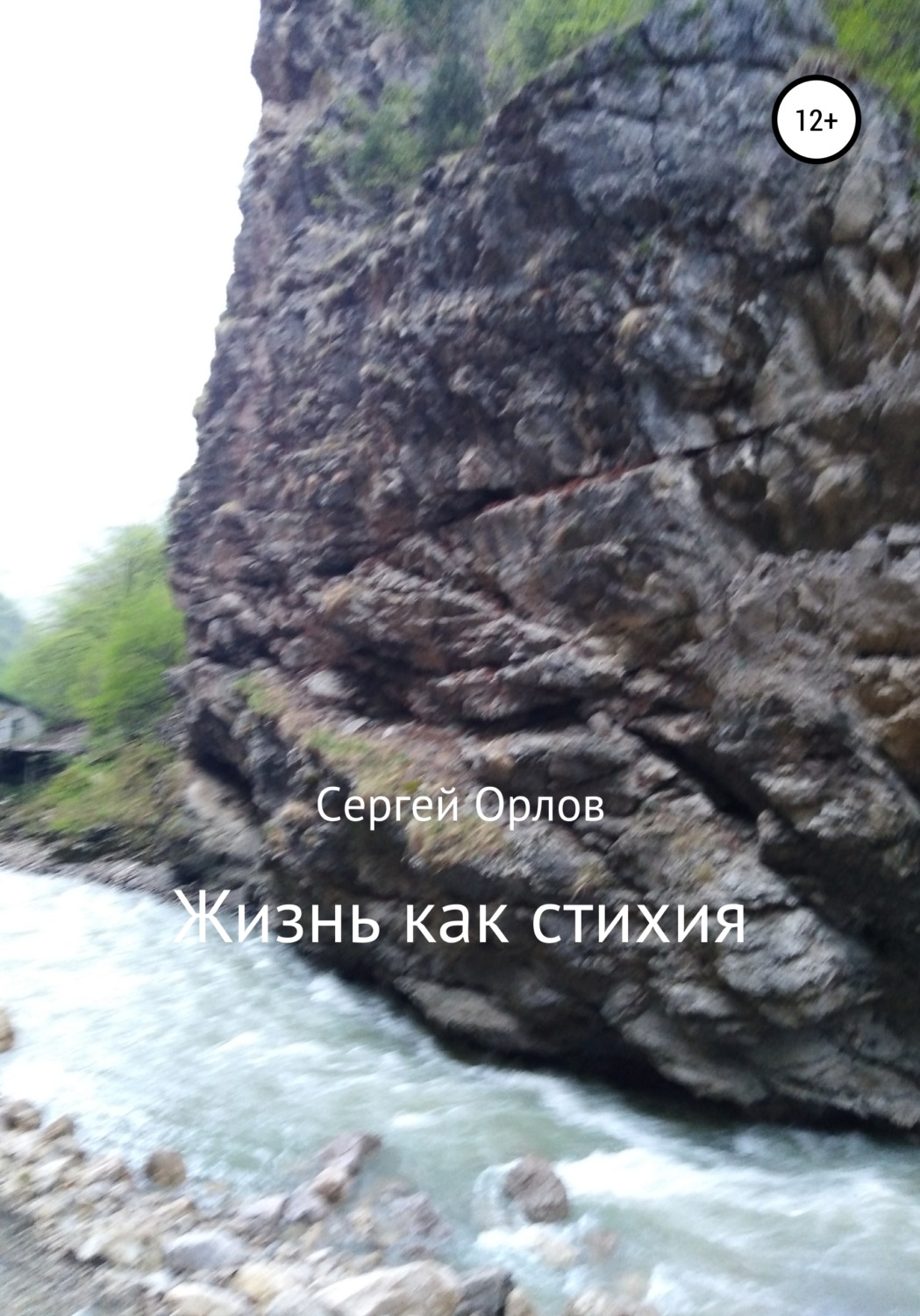 Обложка книги «Жизнь как стихия»