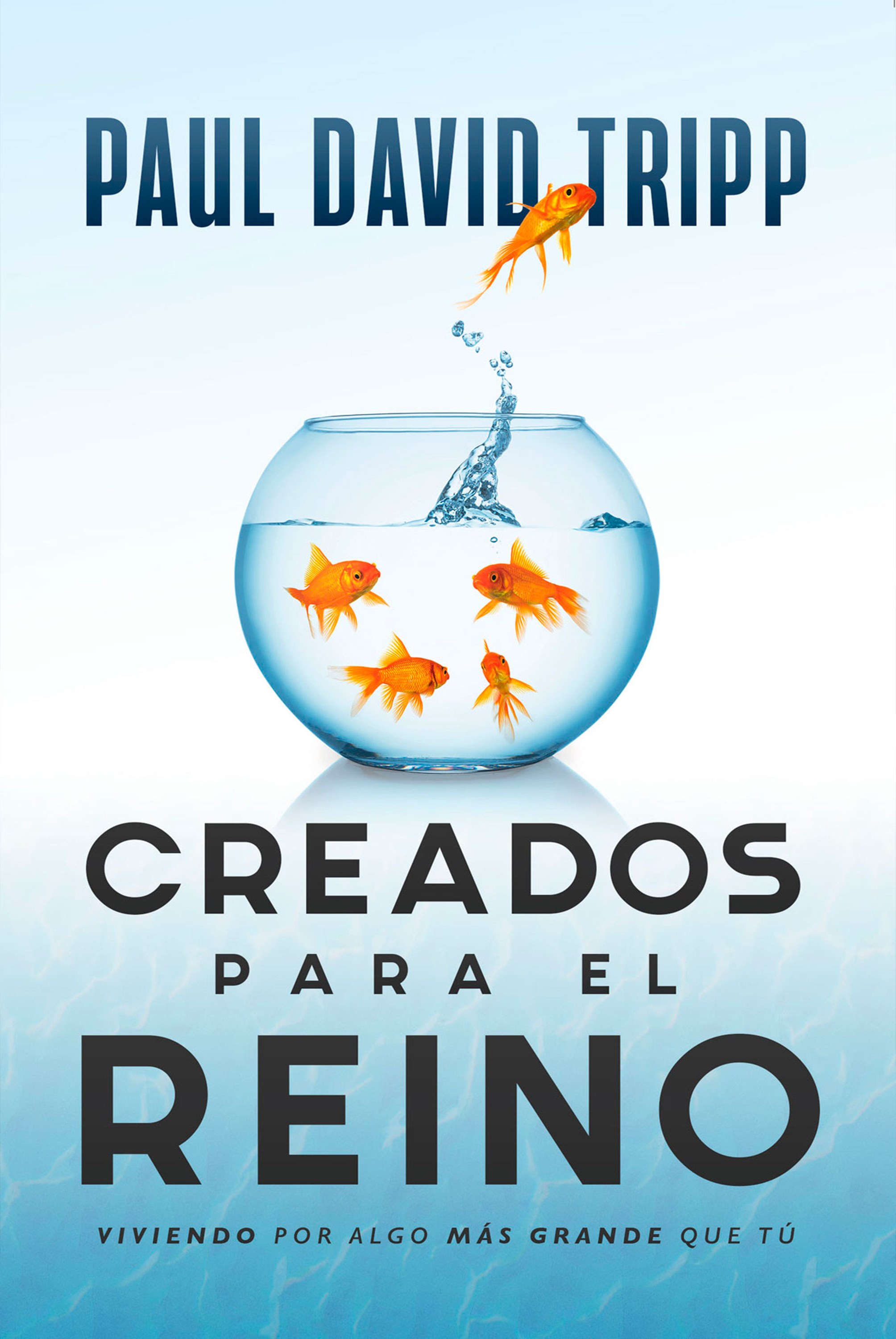 Обложка книги «Creados para el reino»