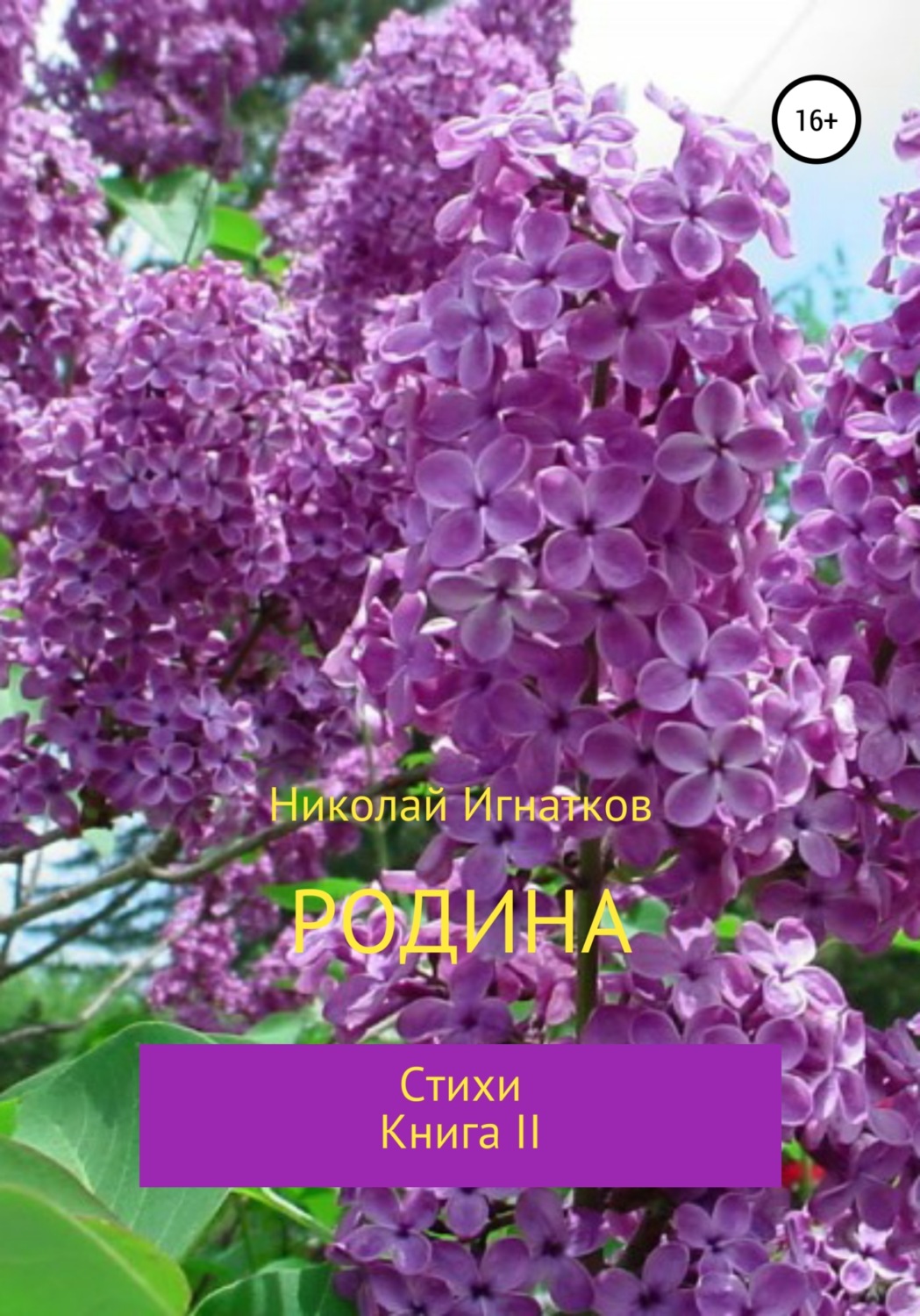 Обложка книги «Родина. Книга II»