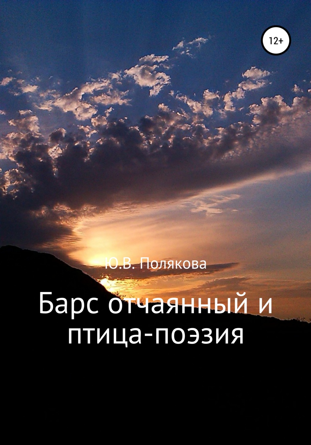 Обложка книги «Барс отчаянный и птица-поэзия»