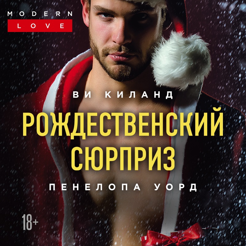Обложка книги «Рождественский сюрприз»