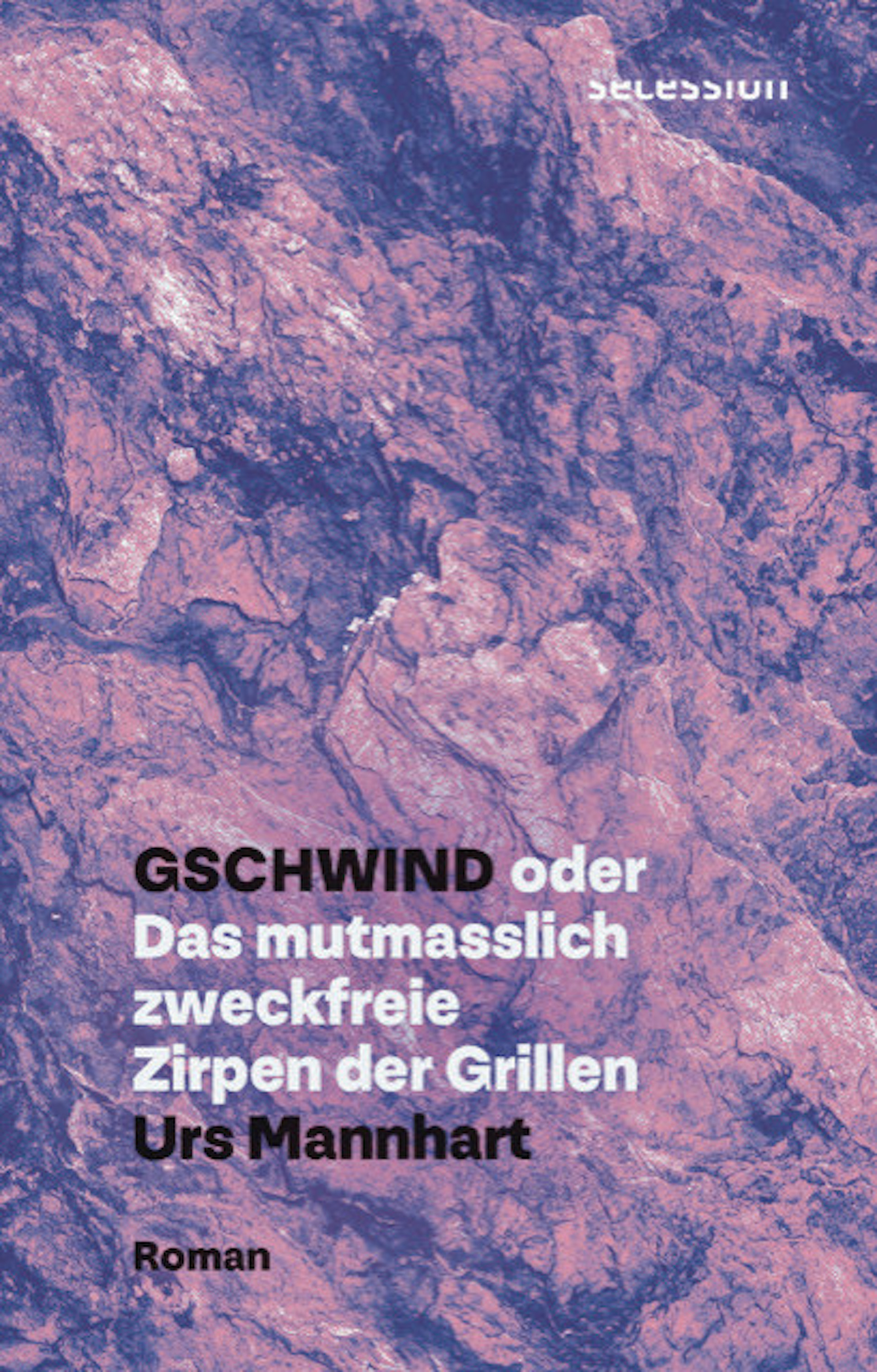 Обложка книги «Gschwind»