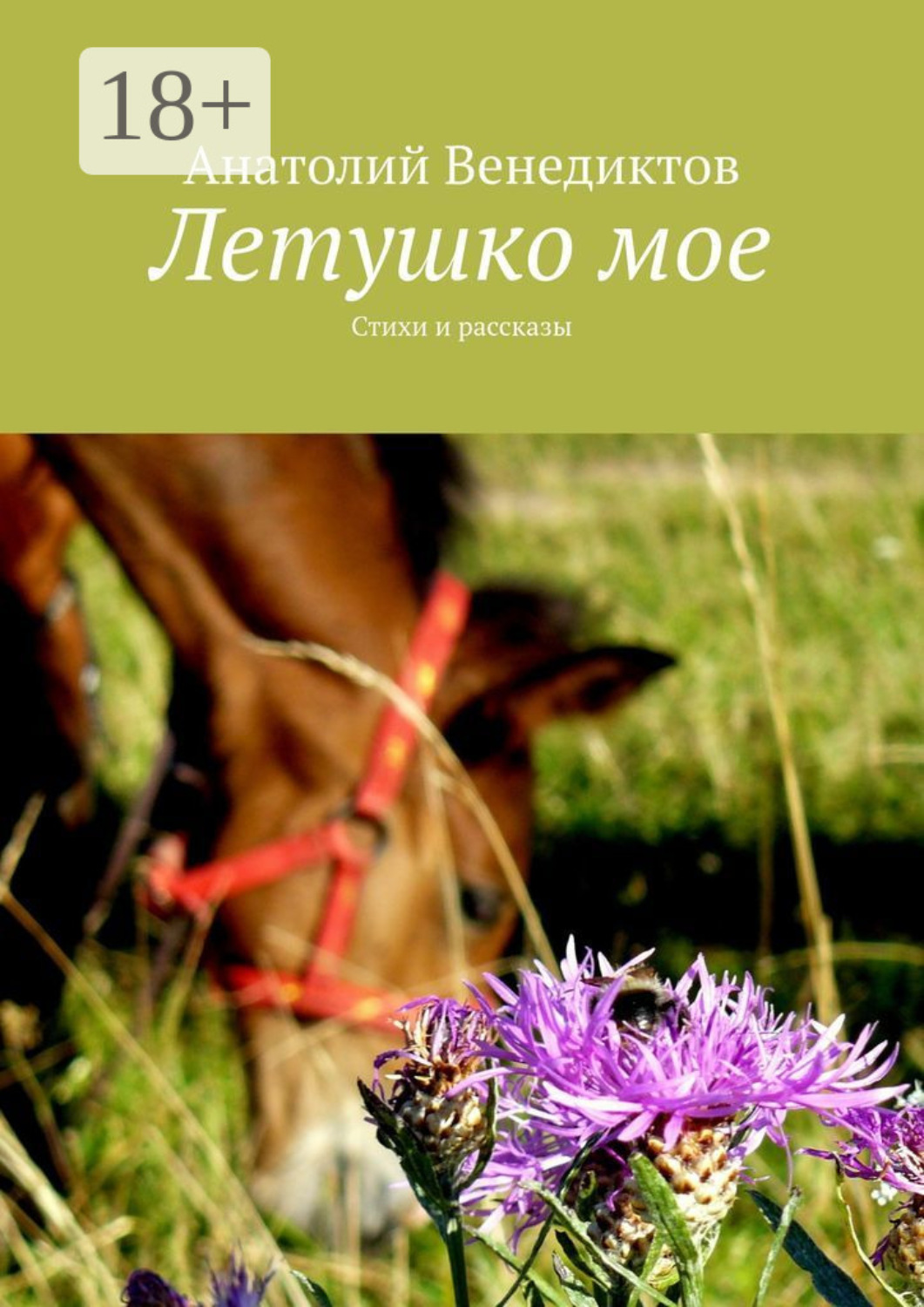 Обложка книги «Летушко мое. Стихи и рассказы»