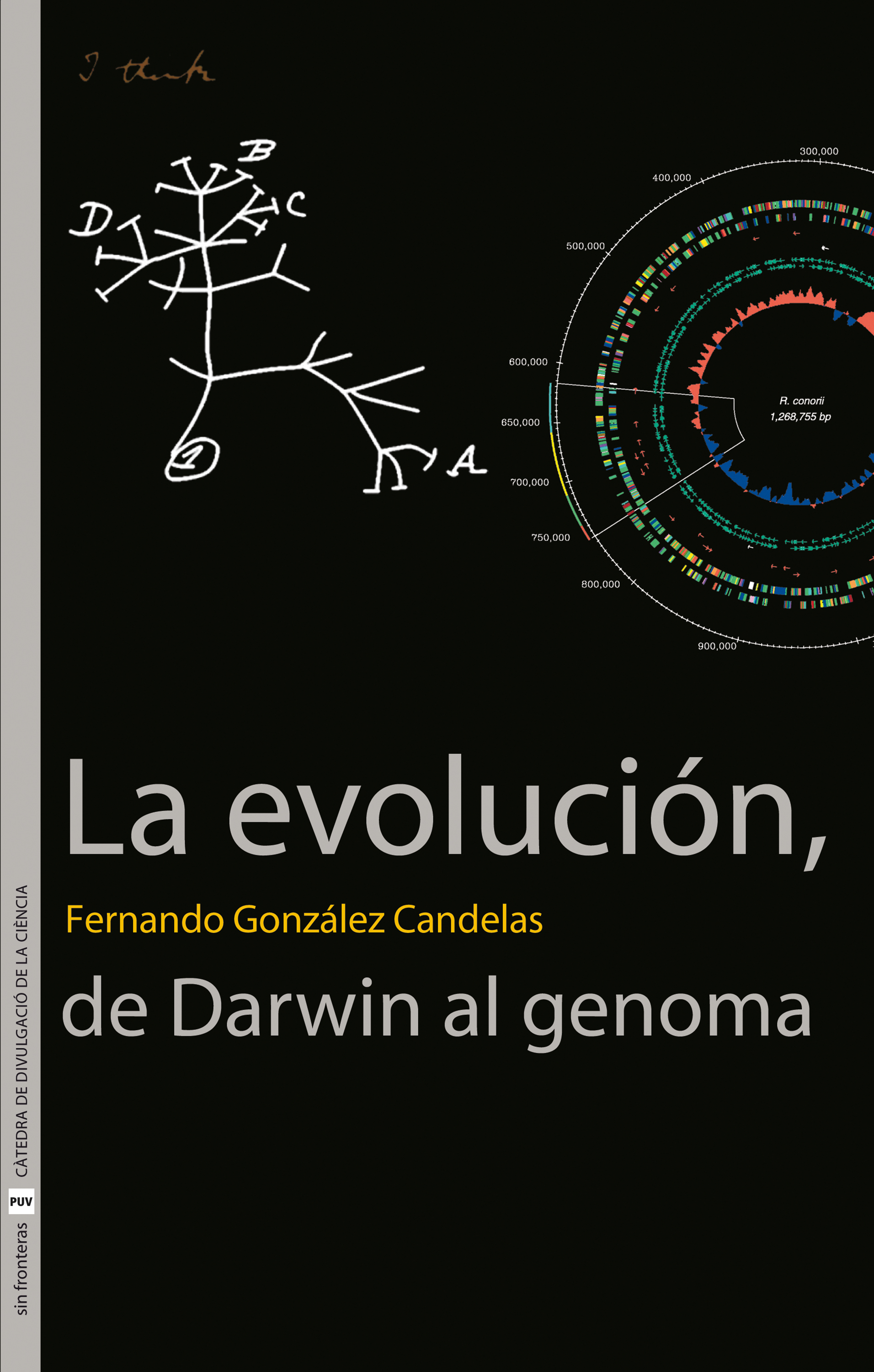 Обложка книги «La evolución, de Darwin al genoma»