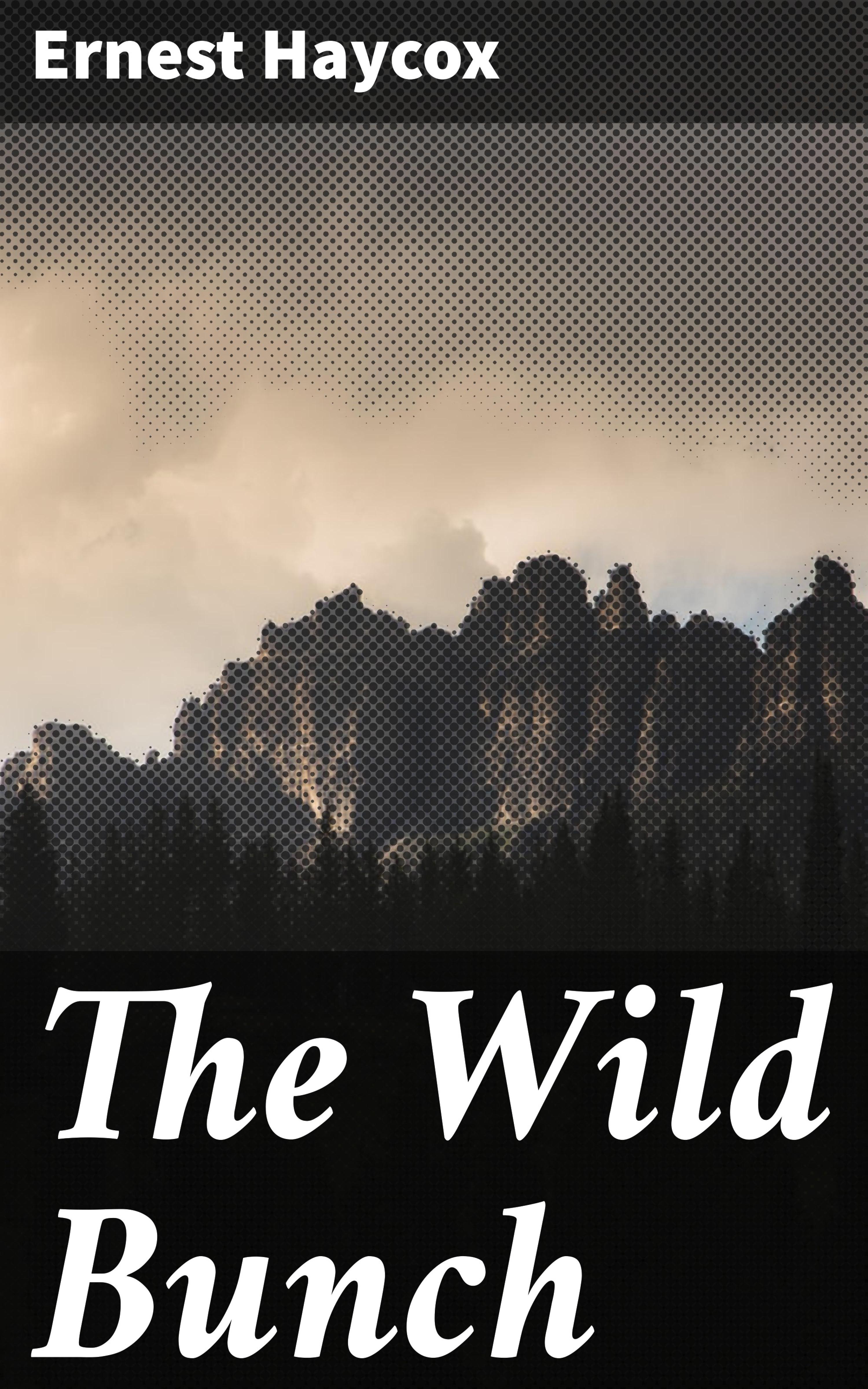 Обложка книги «The Wild Bunch»