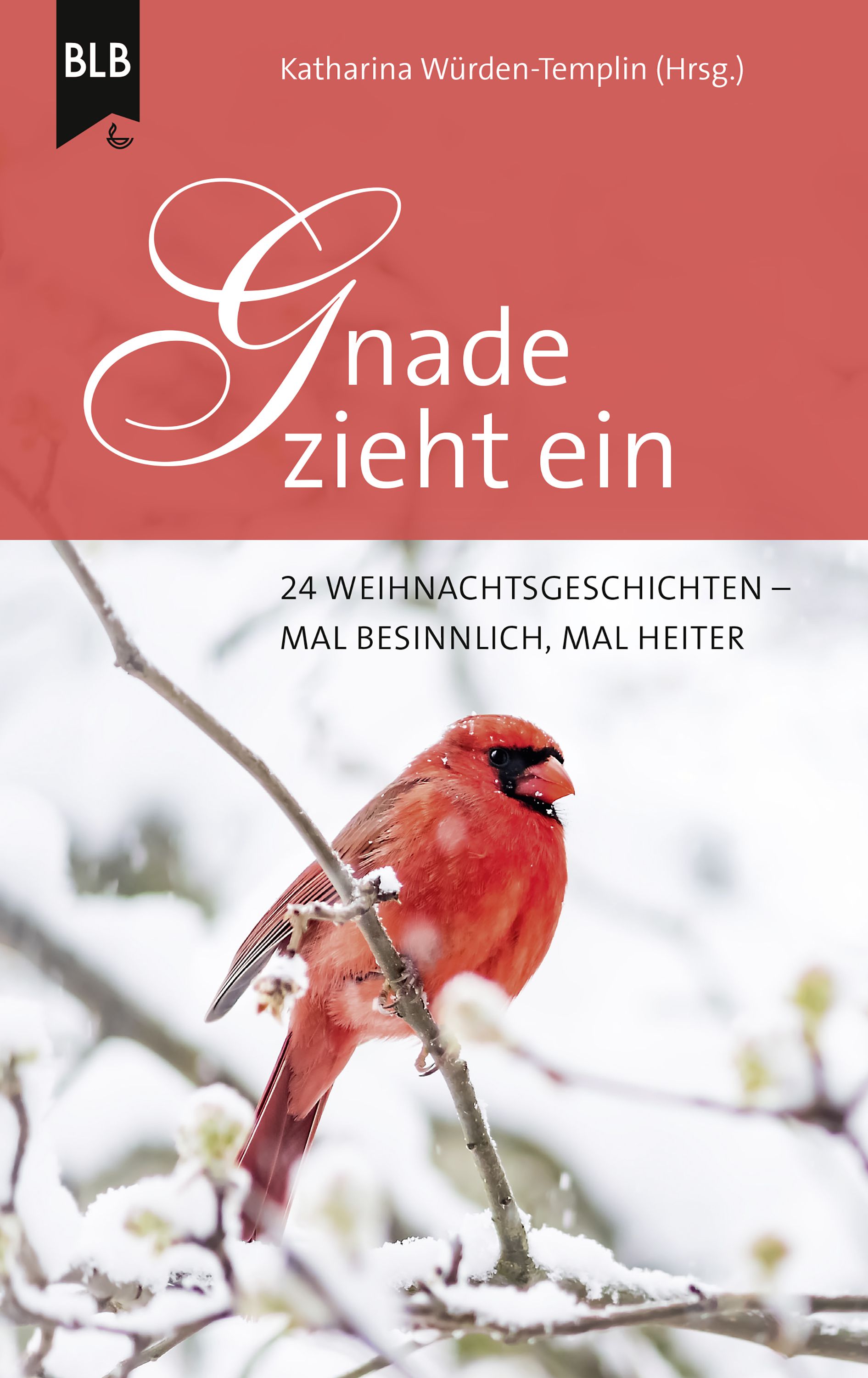 Обложка книги «Gnade zieht ein»