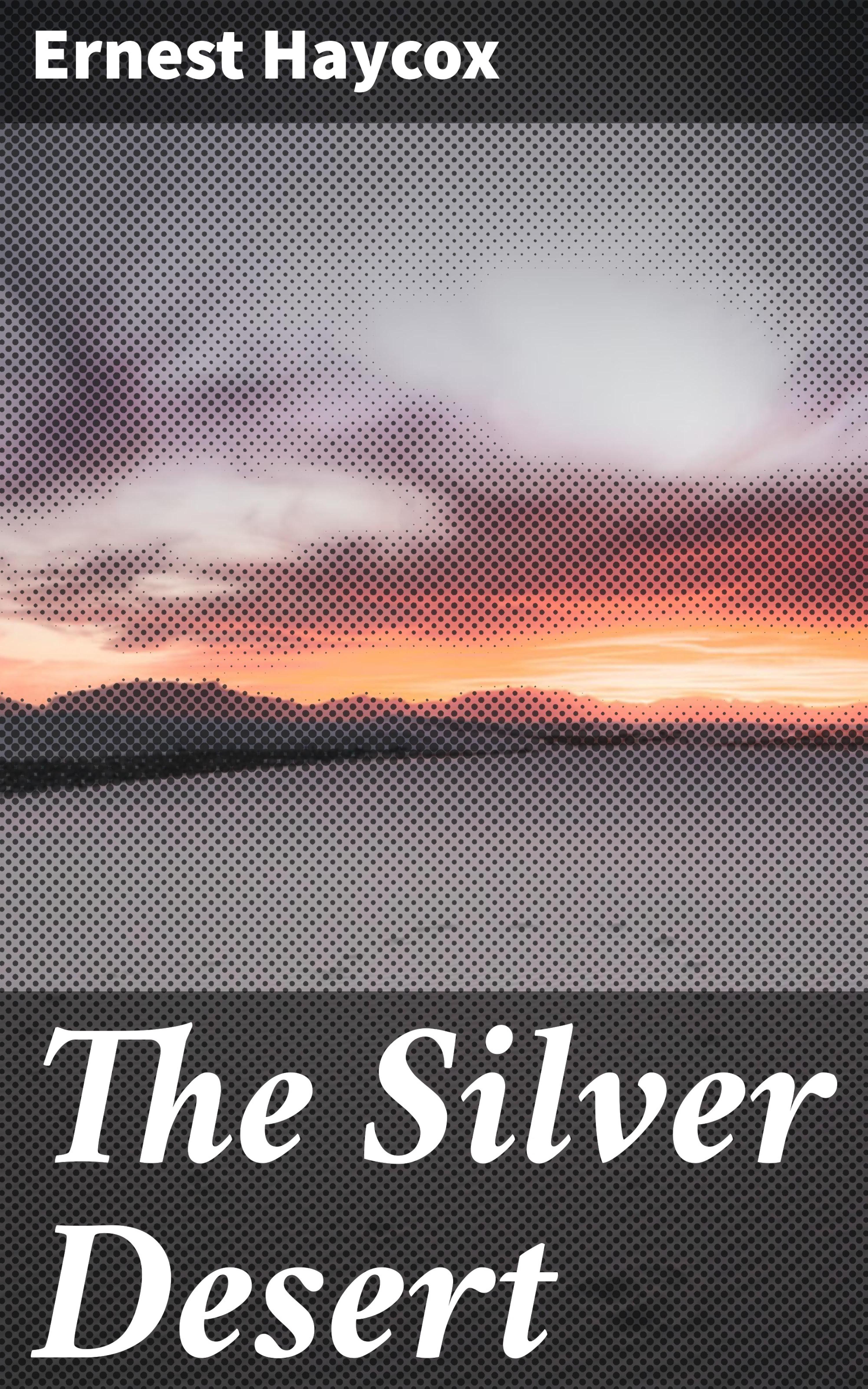 Обложка книги «The Silver Desert»