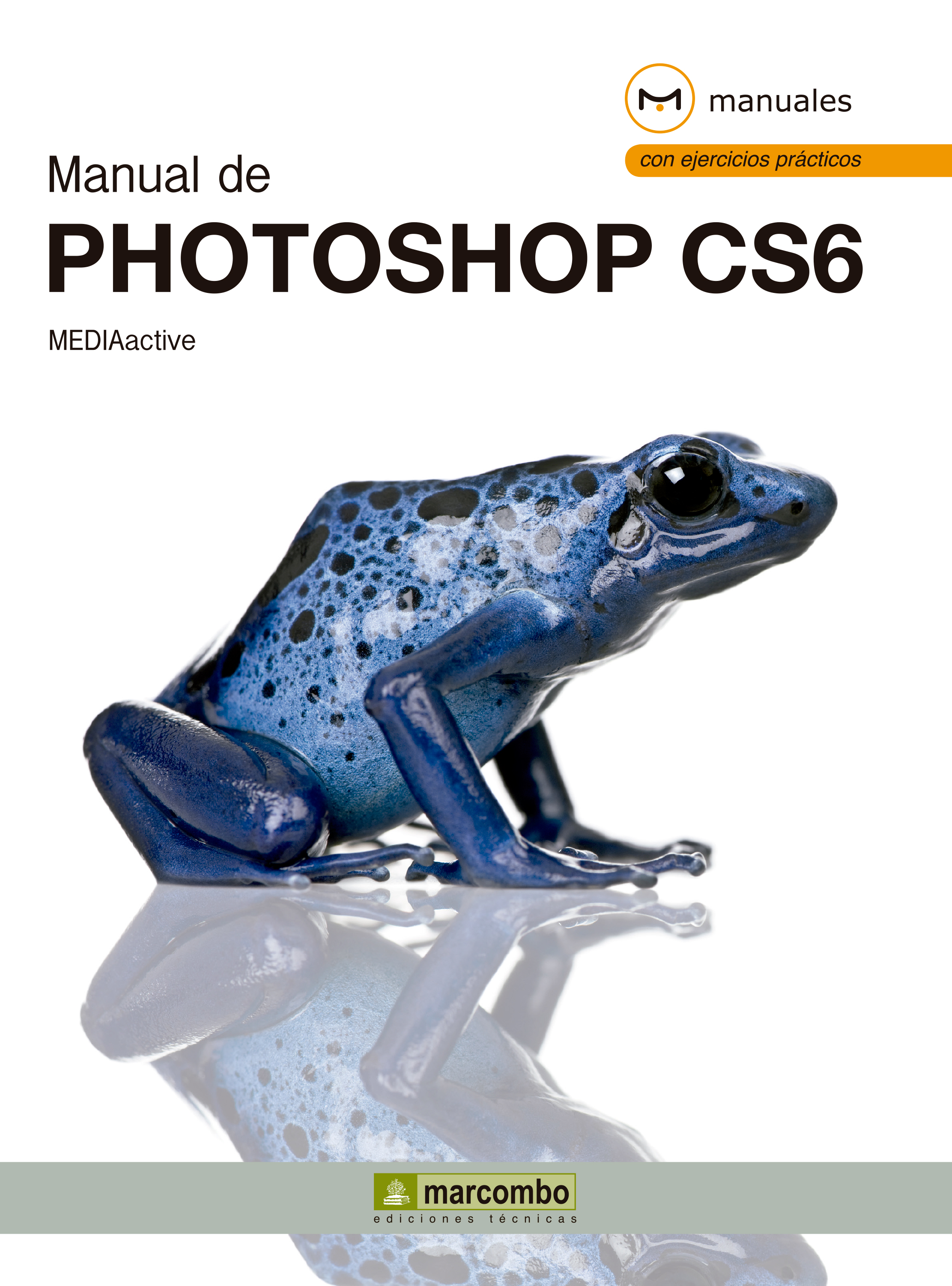 Обложка книги «Manual de Photoshop CS6»