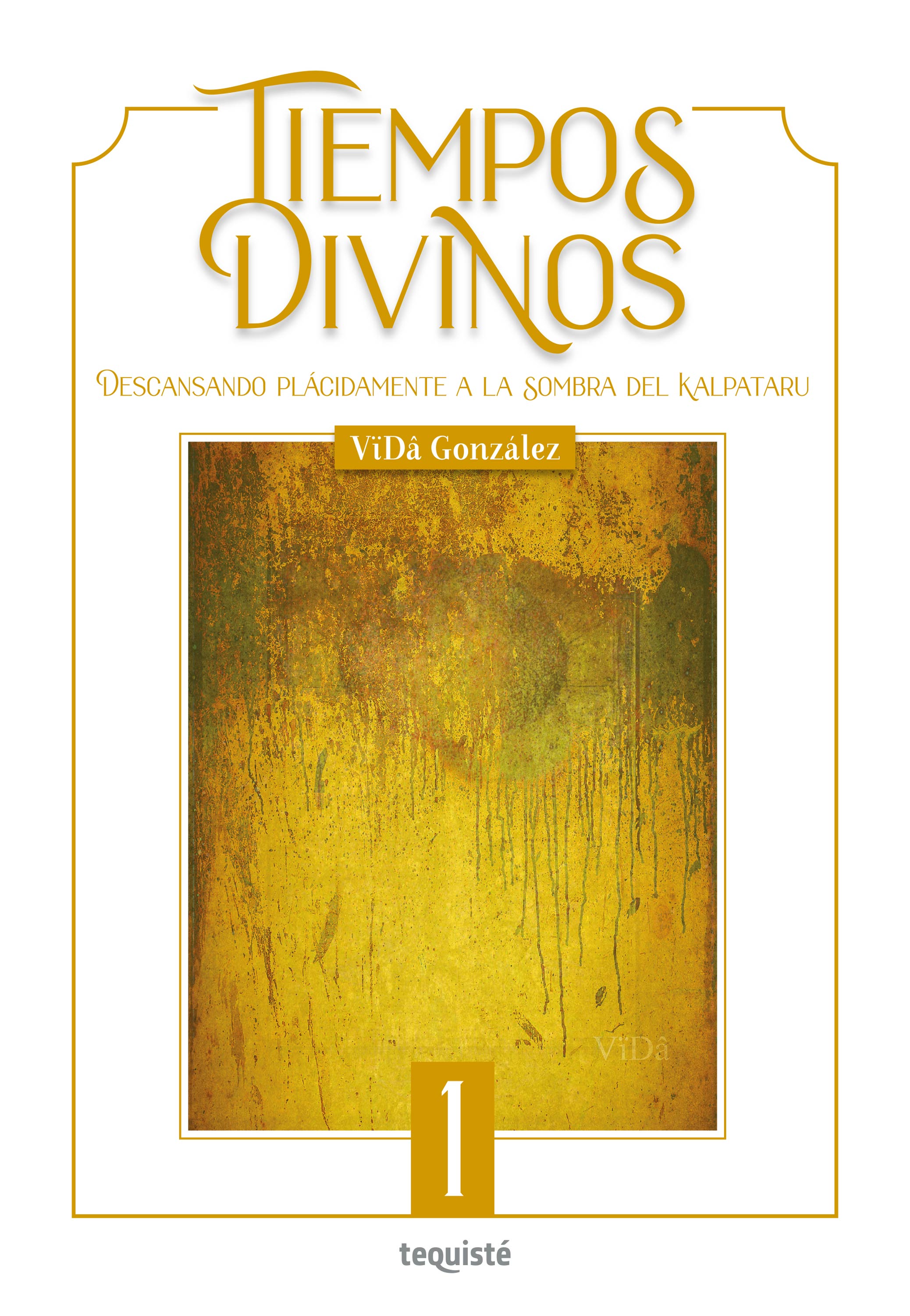 Обложка книги «Tiempos Divinos»