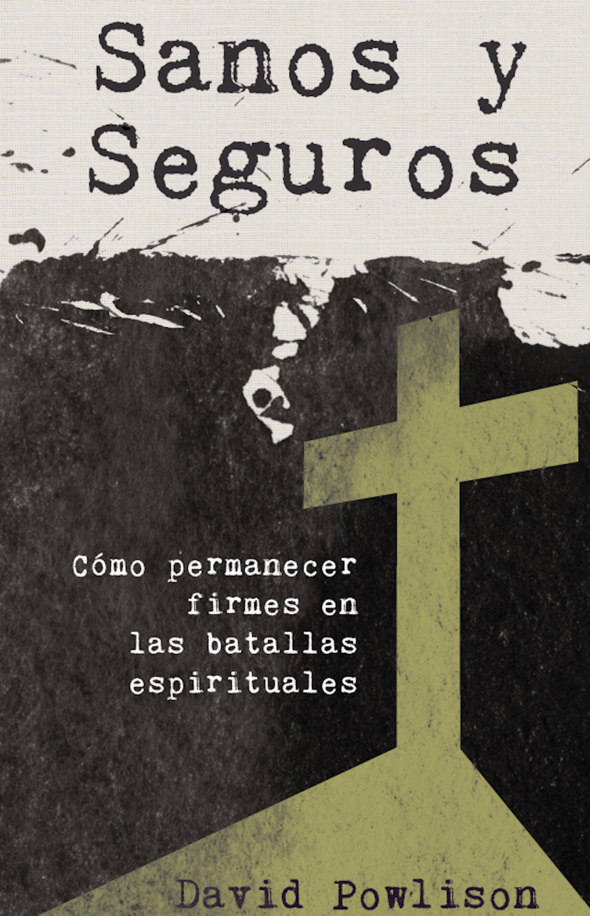 Обложка книги «Sanos y seguros»