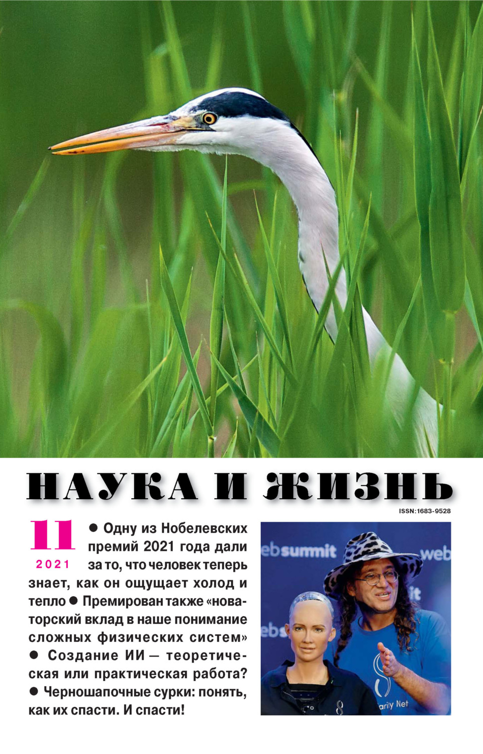 Обложка книги «Наука и жизнь №11/2021»