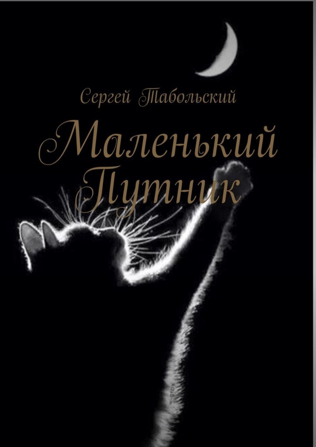 Обложка книги «Маленький Путник»