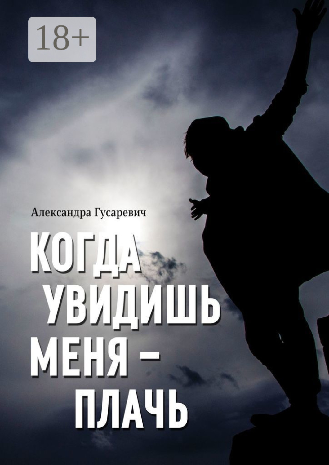 Обложка книги «Когда увидишь меня – плачь»
