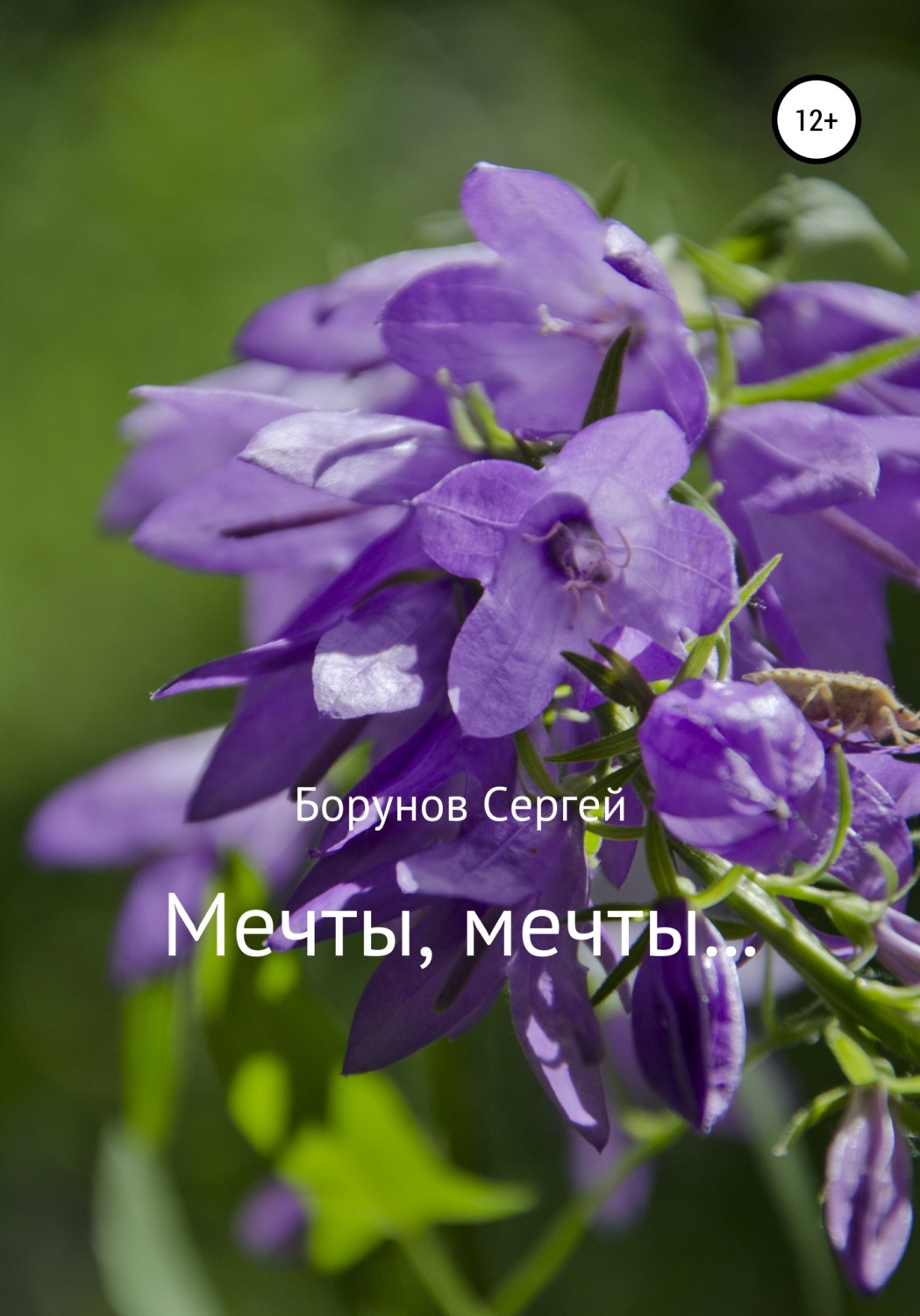 Обложка книги «Мечты, Мечты…»