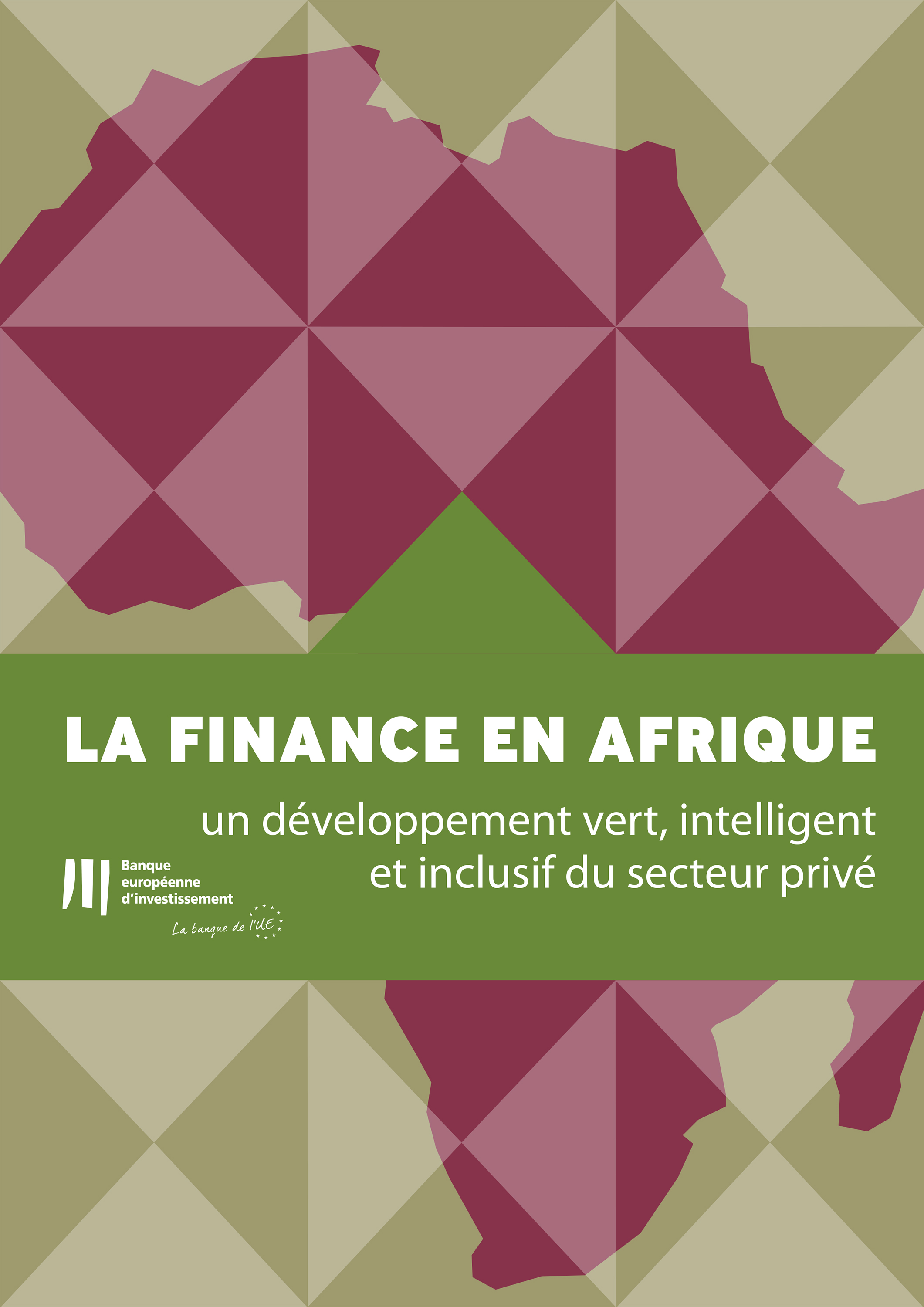 Обложка книги «La finance au service de l'Afrique»