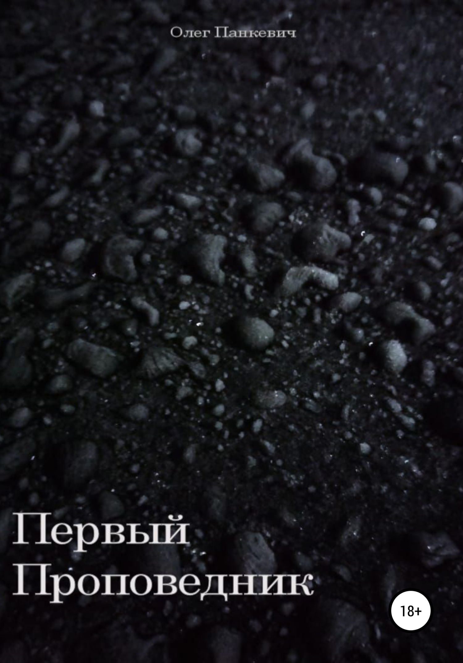Обложка книги «Первый проповедник»