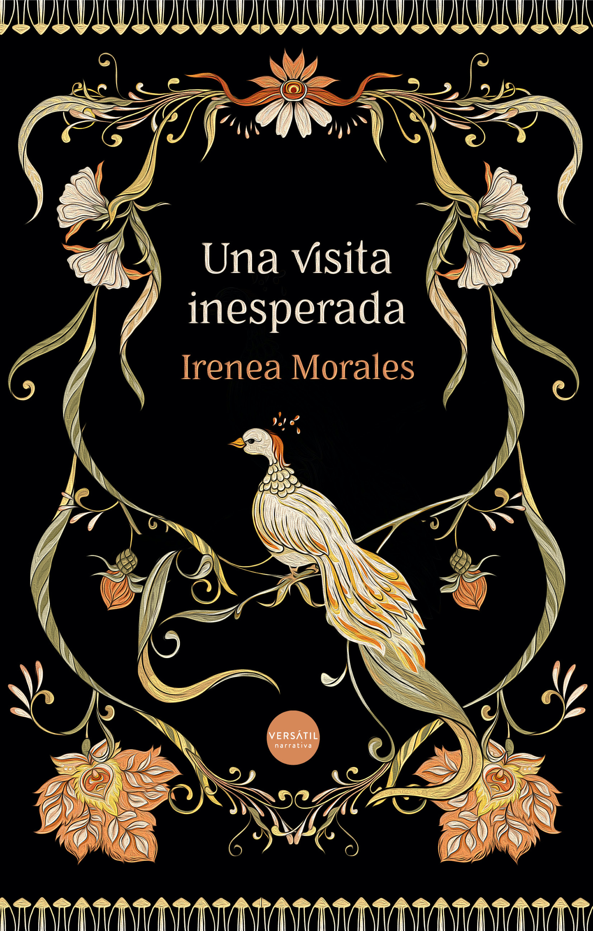 Обложка книги «Una visita inesperada»