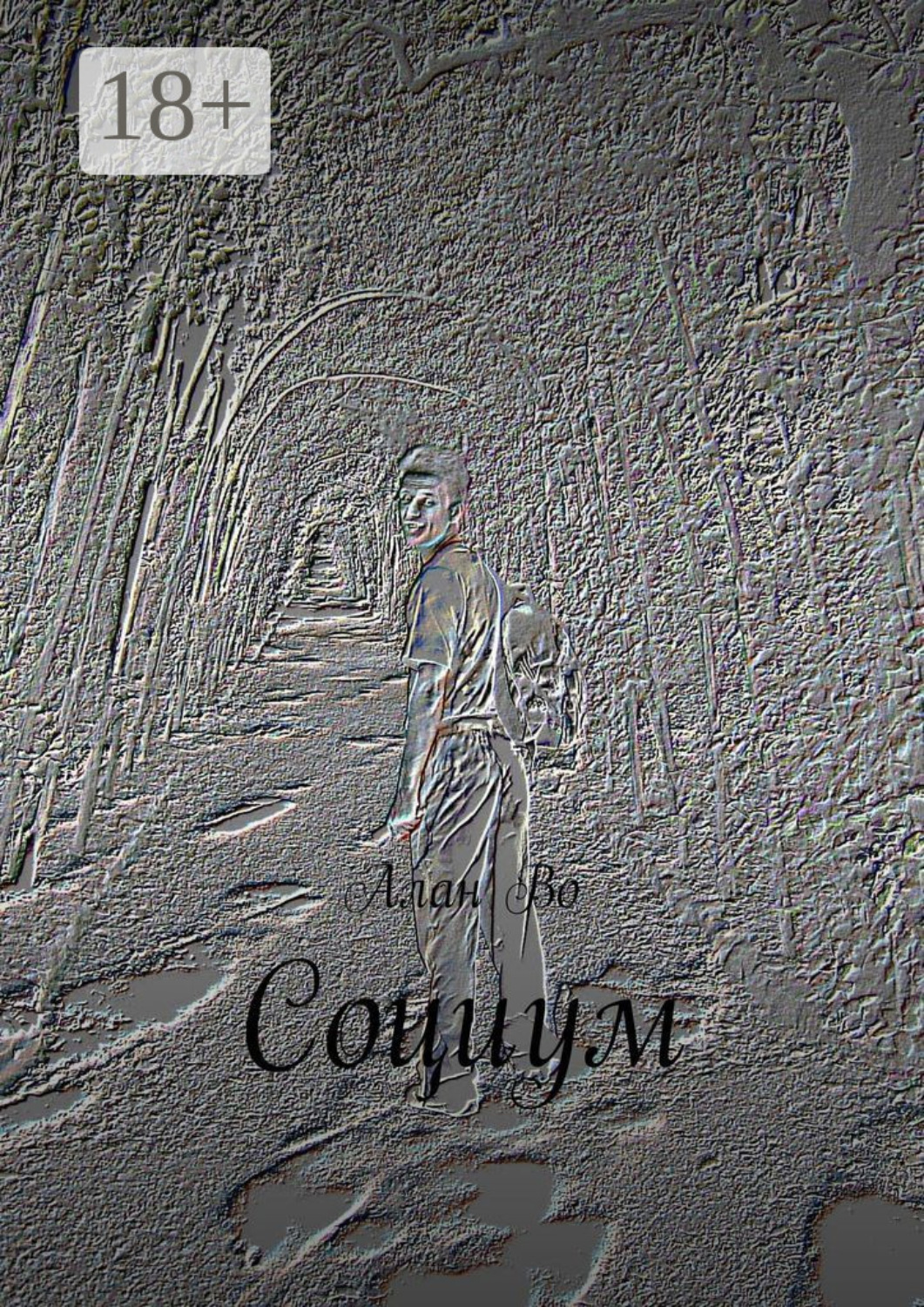 Обложка книги «Социум»