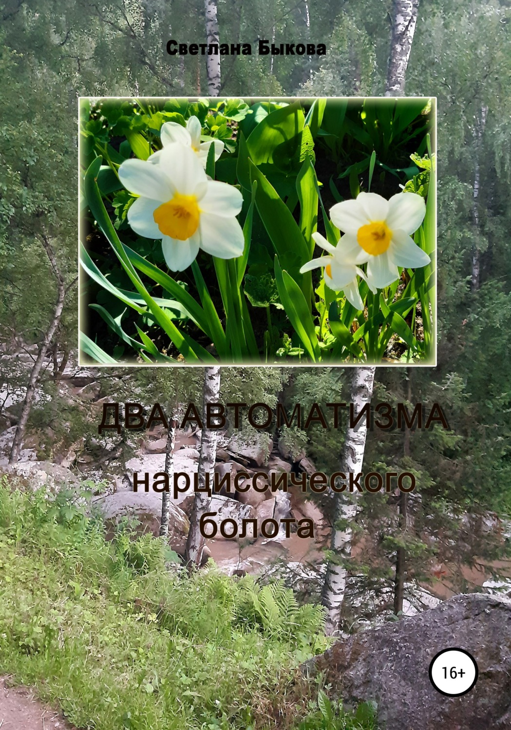 Обложка книги «Два автоматизма нарциссического болота»
