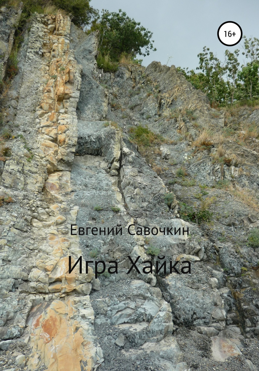 Обложка книги «Игра Хайка»