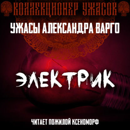 Обложка книги «Электрик»