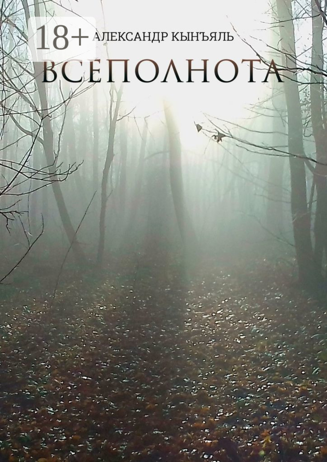 Обложка книги «Всеполнота»