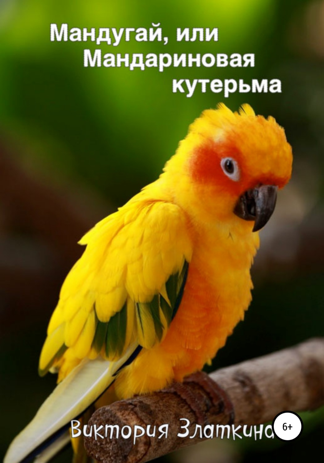 Обложка книги «Мандугай, или Мандариновая кутерьма»