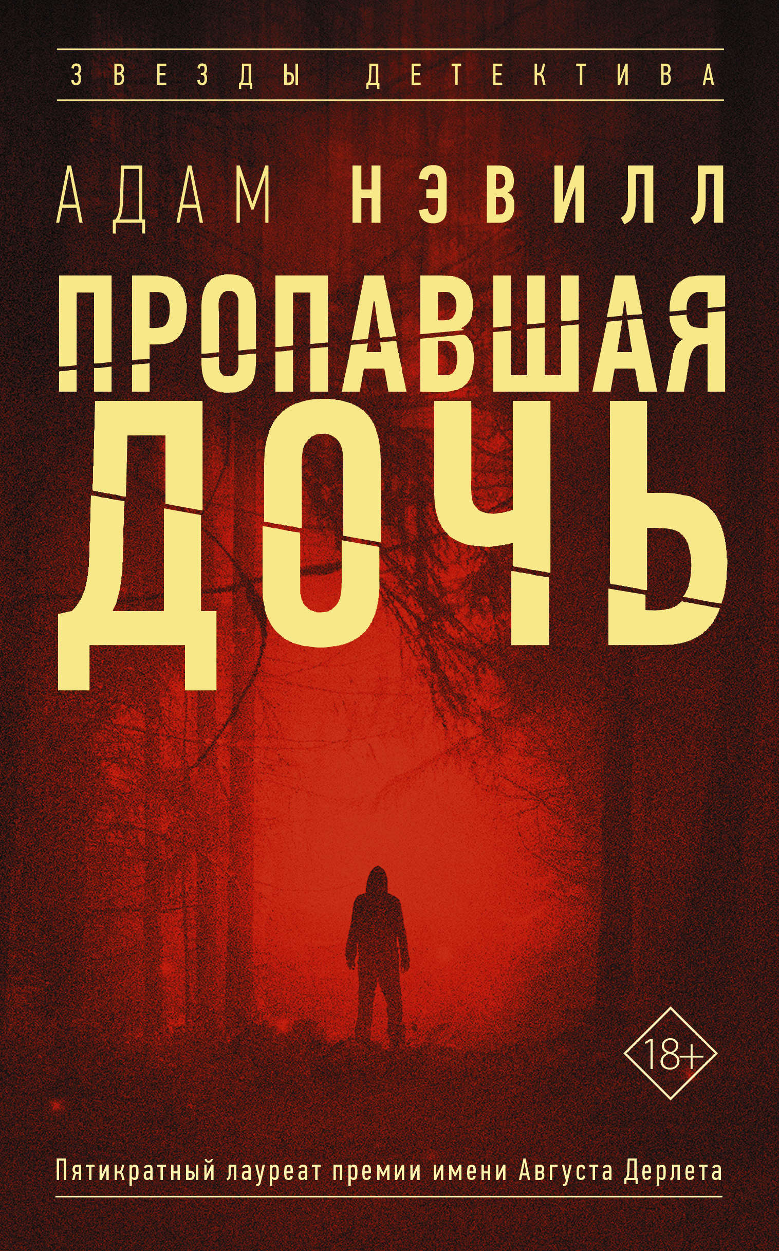Обложка книги «Пропавшая дочь»