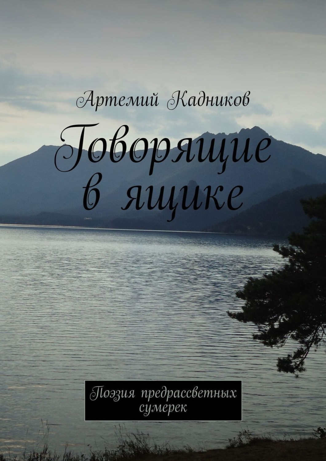Обложка книги «Говорящие в ящике. Поэзия предрассветных сумерек»