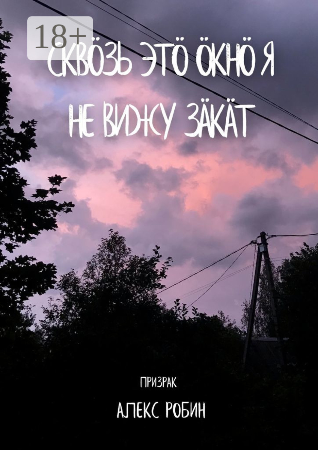 Обложка книги «Сквöзь этö окнö я не вижу зäкäт»